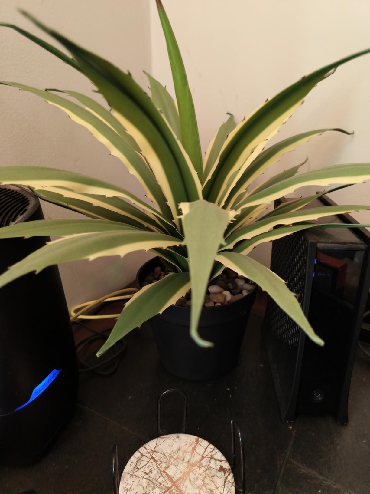 Hollyone Large Artificial Agave Plants 16.9