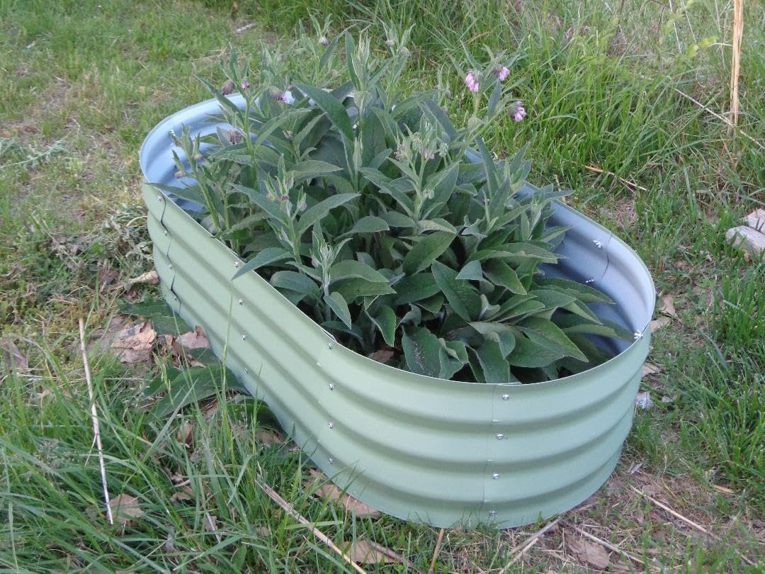 Galvanized Raised Garden Bed Kit, Planter Garden Boxes Outdoor, Oval Large Metal for Vegetables, Fruits, Flowers Planter Boxes, Easy Assembly (4x2x1FT 2-Pack) customer photo 1
