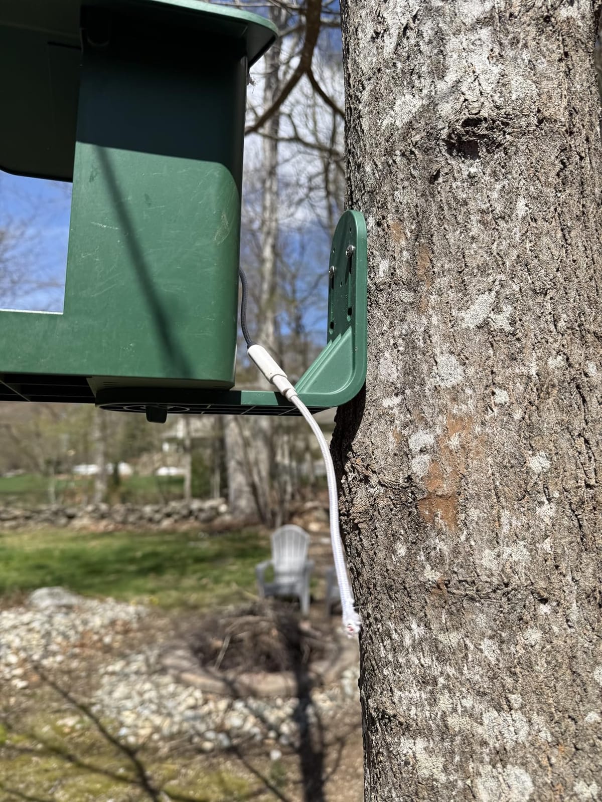 PeckCam Bird Feeder with Camera Solar Powered 2K Live Video Auto Capture | AI Bird Species Identification, Instant App Alert, IP65 Waterproof, Easy Setup, Backyard Bird-Watching, Gift for Bird Lovers customer photo 1