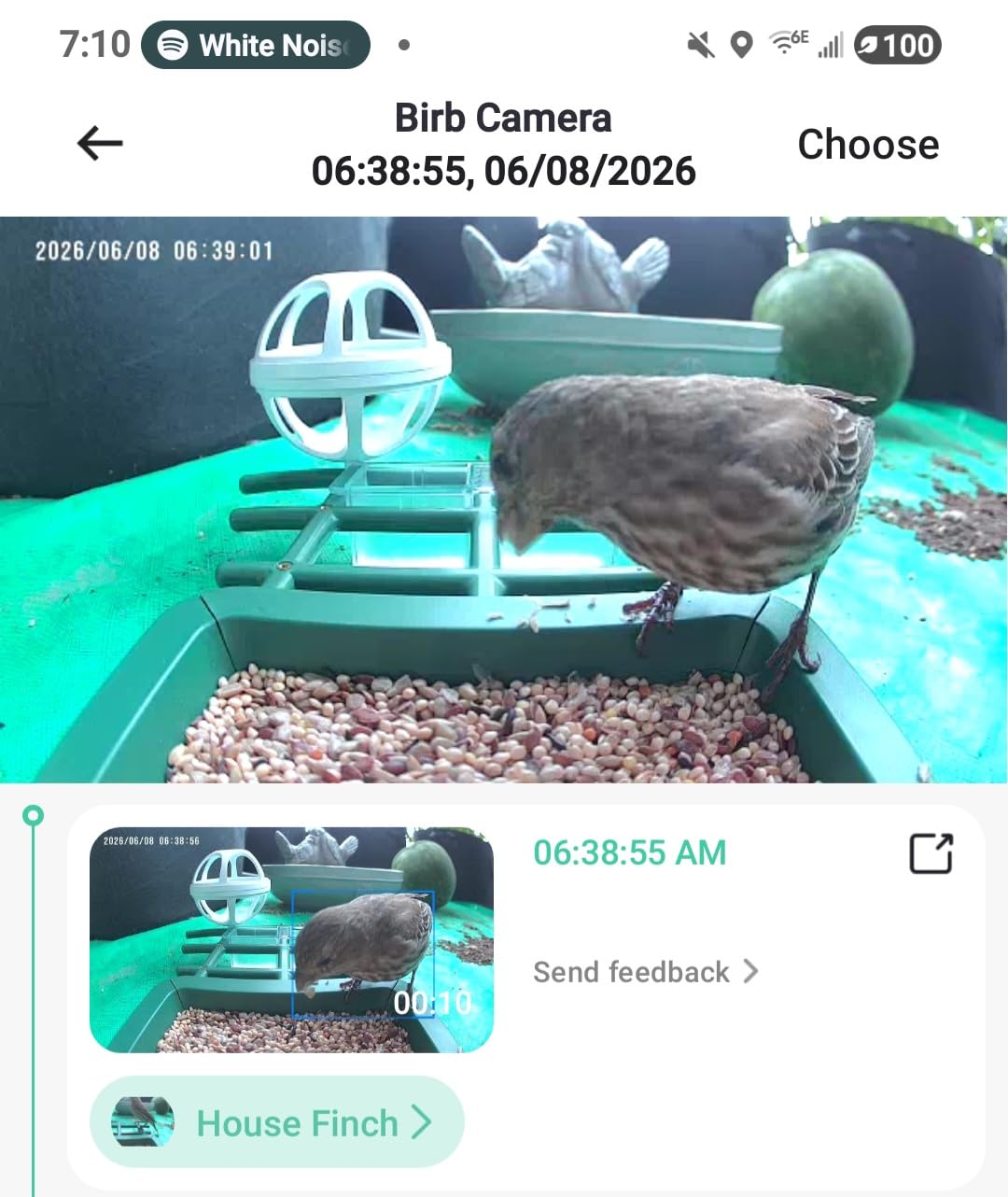 PeckCam Bird Feeder with Camera Solar Powered 2K Live Video Auto Capture | AI Bird Species Identification, Instant App Alert, IP65 Waterproof, Easy Setup, Backyard Bird-Watching, Gift for Bird Lovers customer photo 2