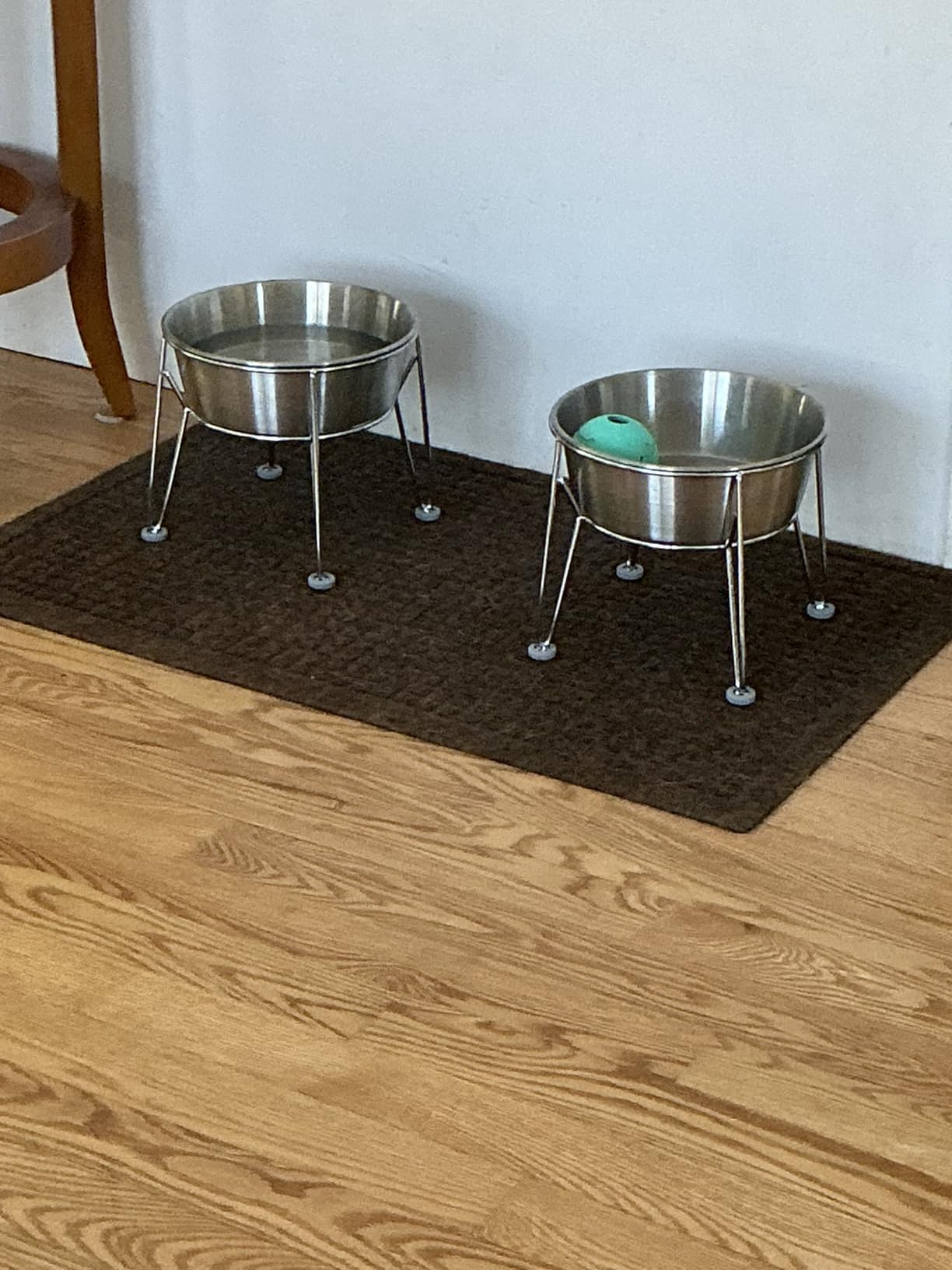 Elevated Dog Bowls for Medium&Small Dogs - Stainless Steel 48oz/6 Cups Raised Feeder with Non-Slip Base, Dual Food & Water Bowls 2-Pack customer photo 1