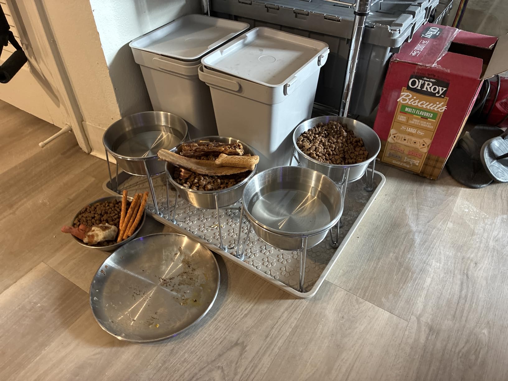 Elevated Dog Bowls for Medium&Small Dogs - Stainless Steel 48oz/6 Cups Raised Feeder with Non-Slip Base, Dual Food & Water Bowls 2-Pack customer photo 2