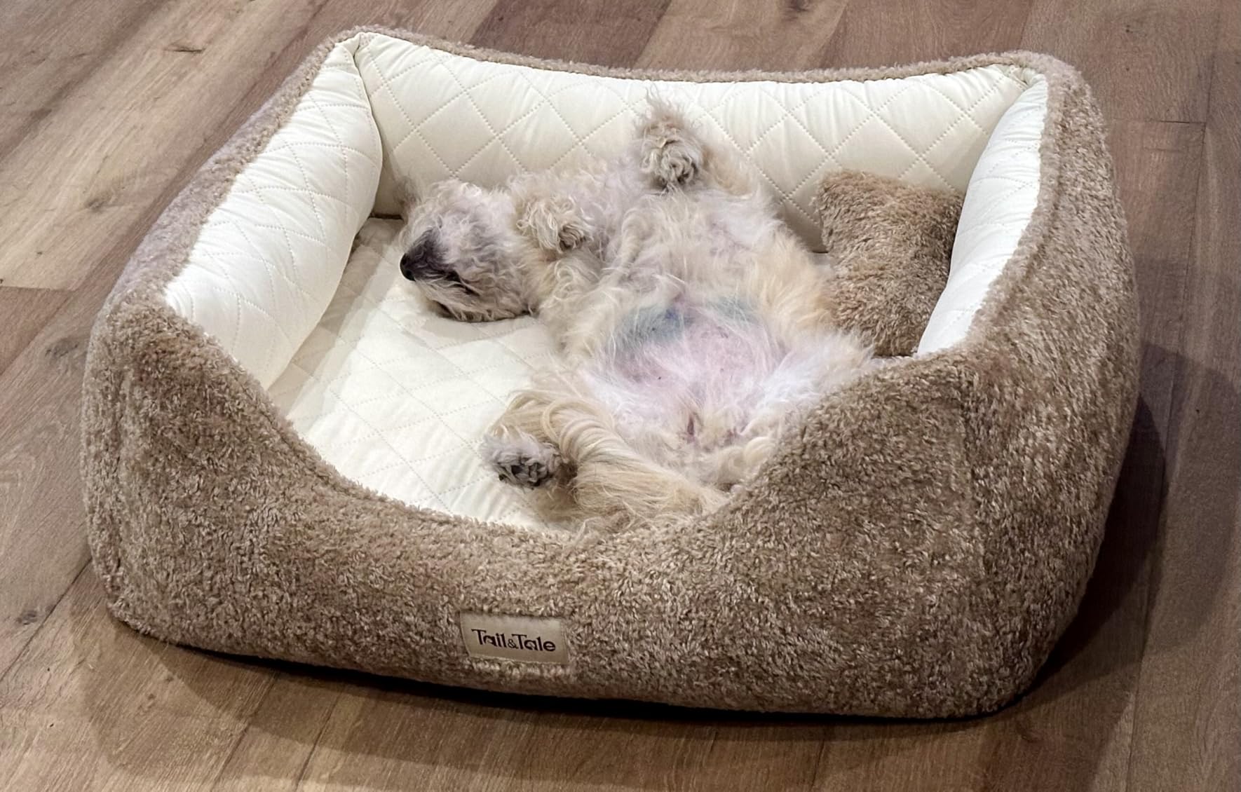 Cooling Orthopedic Dog Bed for Large Dogs, Memory Foam, Washable Cover | Memory foam dog bed for senior dogs with arthritis, cooling and sherpa surfaces, removable washable cover, waterproof liner customer photo 1