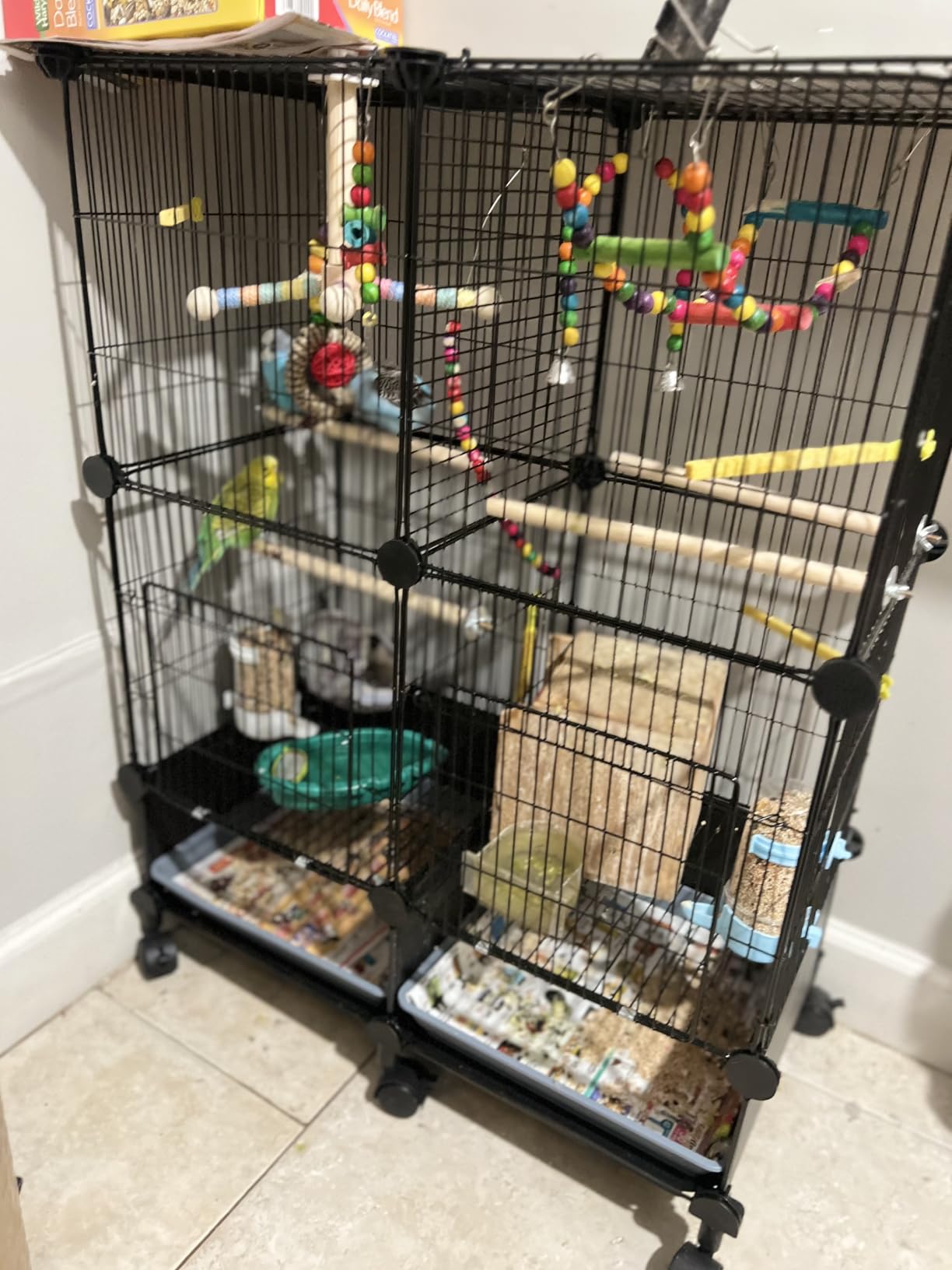 VISCOO Upgraded Encrypted Metal 46-Inch Bird Cage for Parrot Parakeets with Wooden Perches, Slide-Out Tray, Water Bottle & Feeder customer photo 2