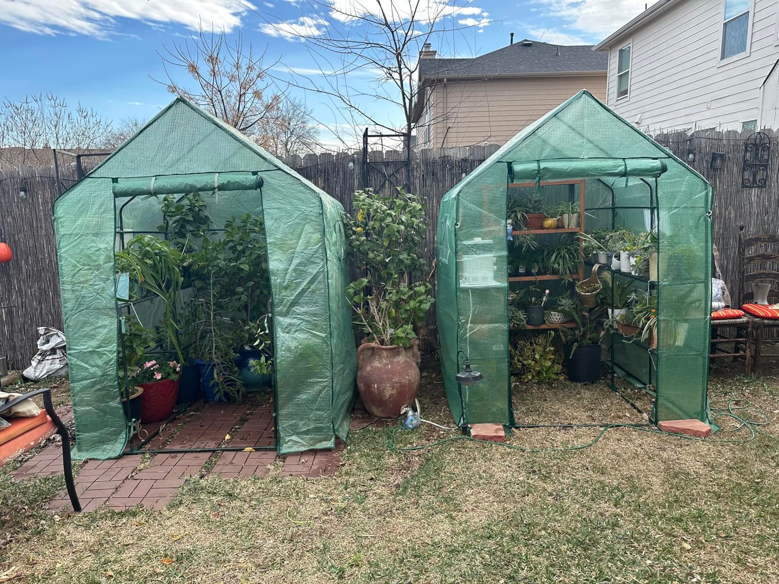 56×56×78Inch Walk-in Greenhouse for Outdoors Garden Winter, Green | Screen Windows, Thicken PE Cover and Steel Shelves, Heavy Duty Portable Small Plant House customer photo 1