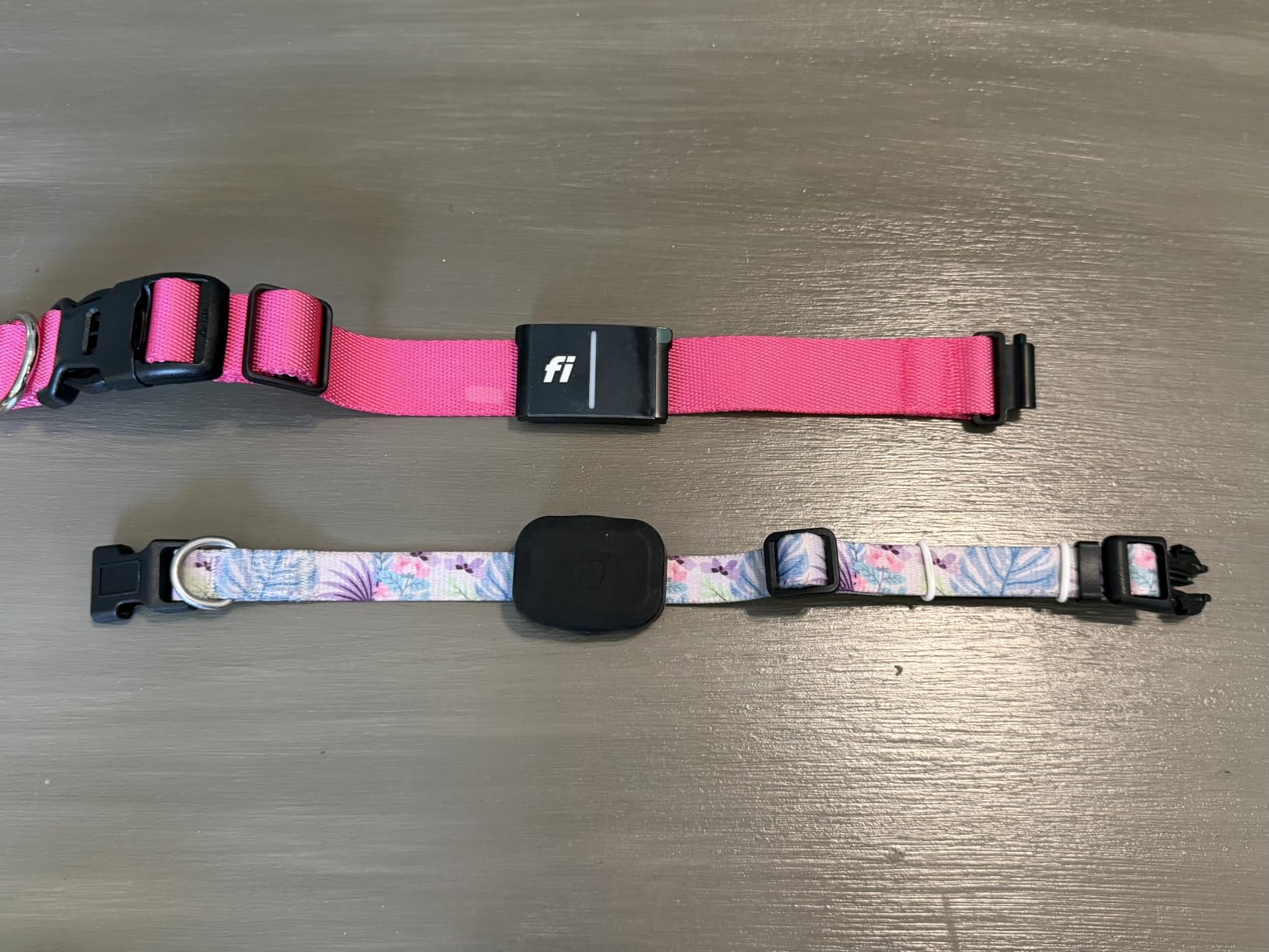 Fi Series 3+ GPS + Health Dog Collar, Blue, Large, 6-Month Membership | Smart GPS dog collar with live tracking, health & behavior, Escape Alerts, LED light. Waterproof and Apple Watch compatible. customer photo 2
