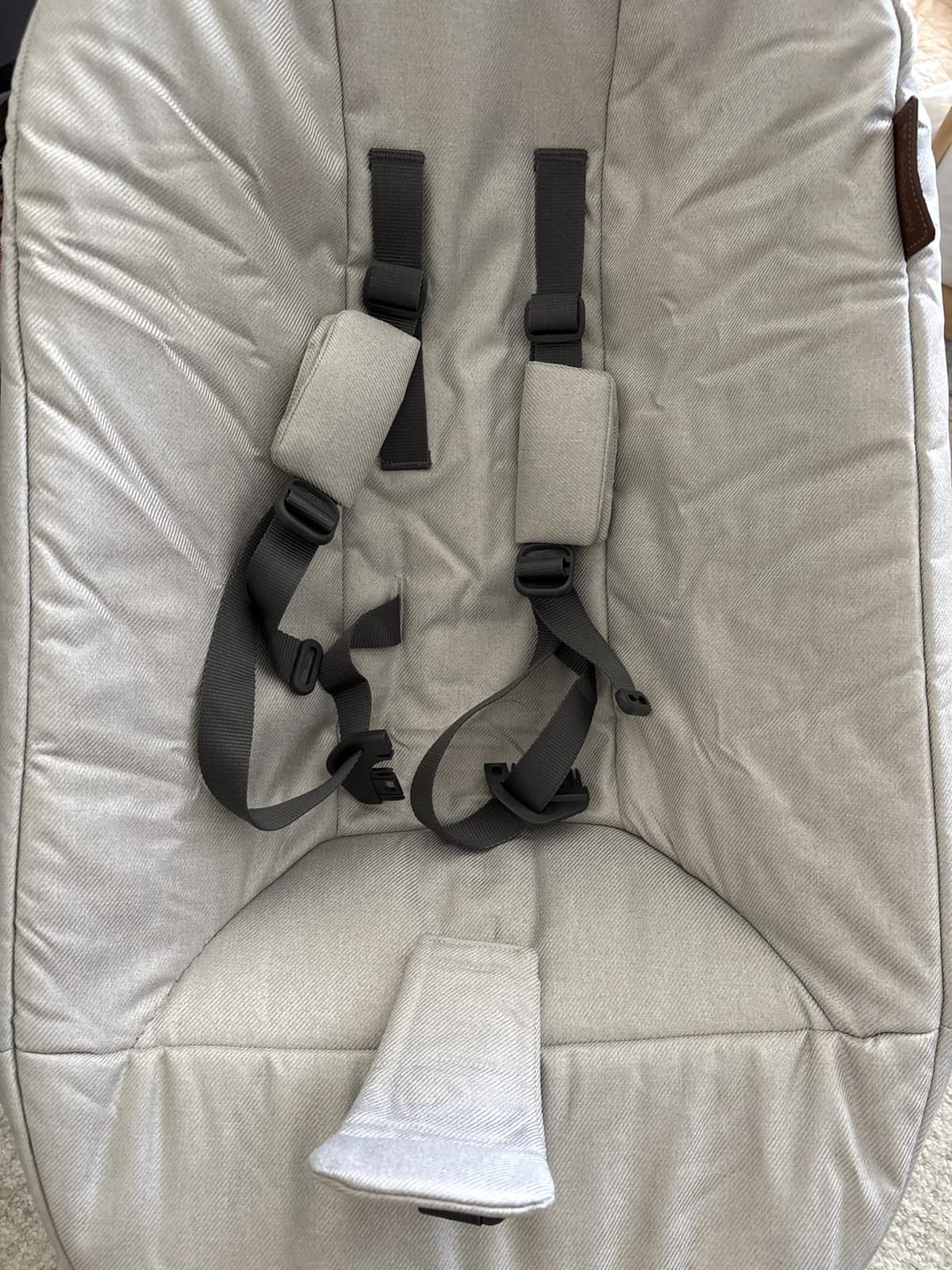 UPPAbaby Mamaroo Smart Swing with MotionSync & Newborn Insert - Charlie customer photo 1