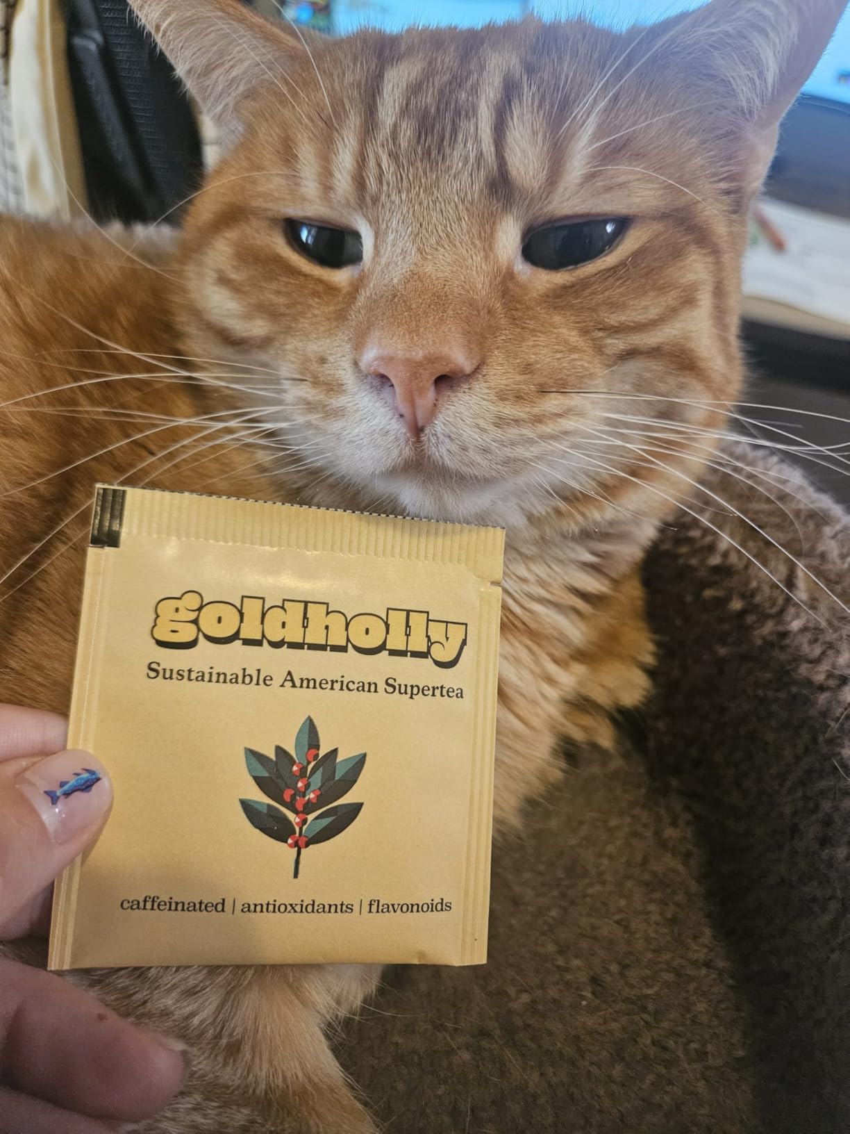 Goldholly Organic Yaupon Tea Bags, Original Light Roast, 20 Count customer photo 1