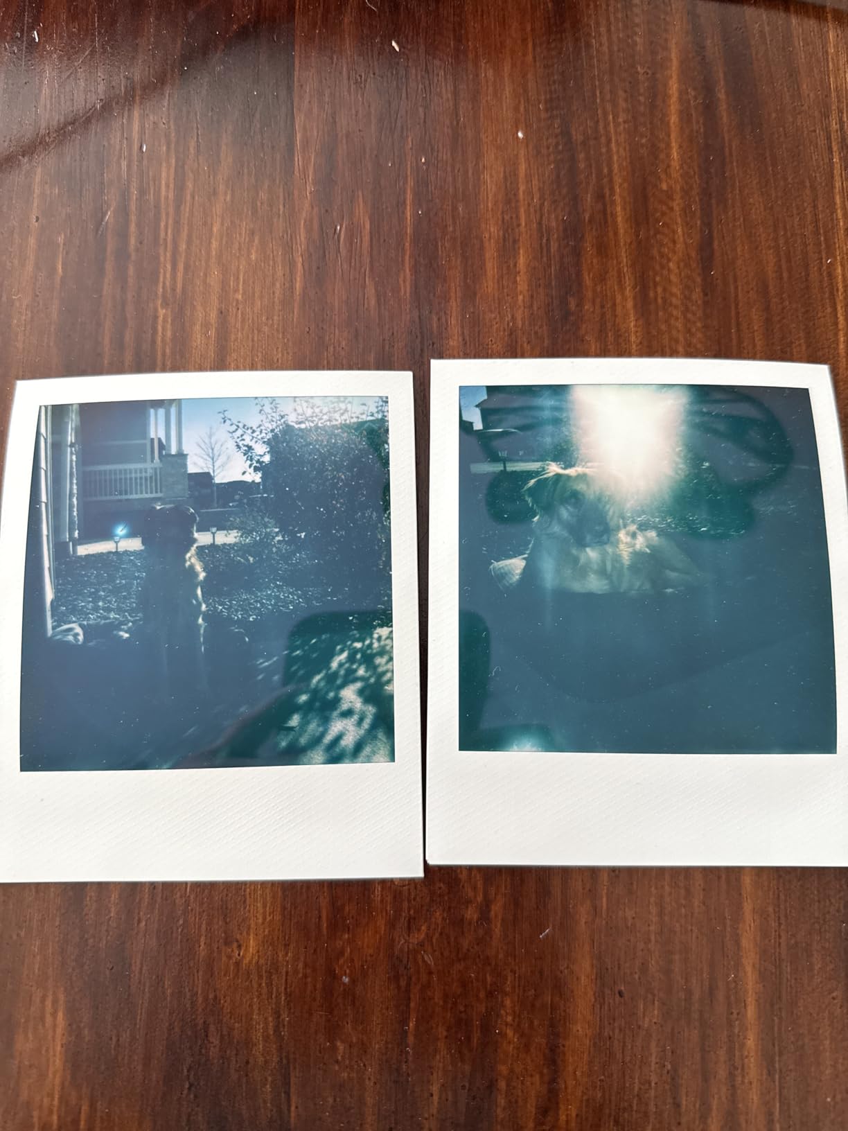 Polaroid Now+ 3rd Generation I-Type Instant Camera + Film Bundle - Arctic Blue customer photo 1