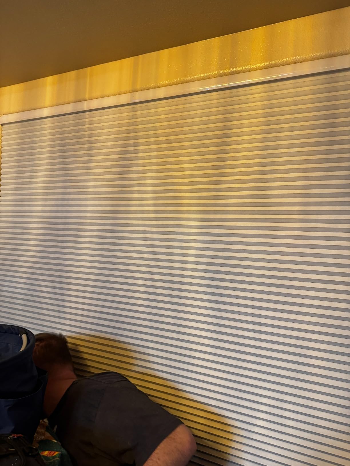 Cordless Cellular Shades for Windows, Blackout White, 46