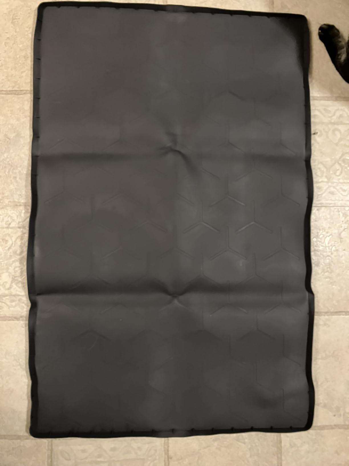 Garoopion Silicone Cat Litter Mat Large 40