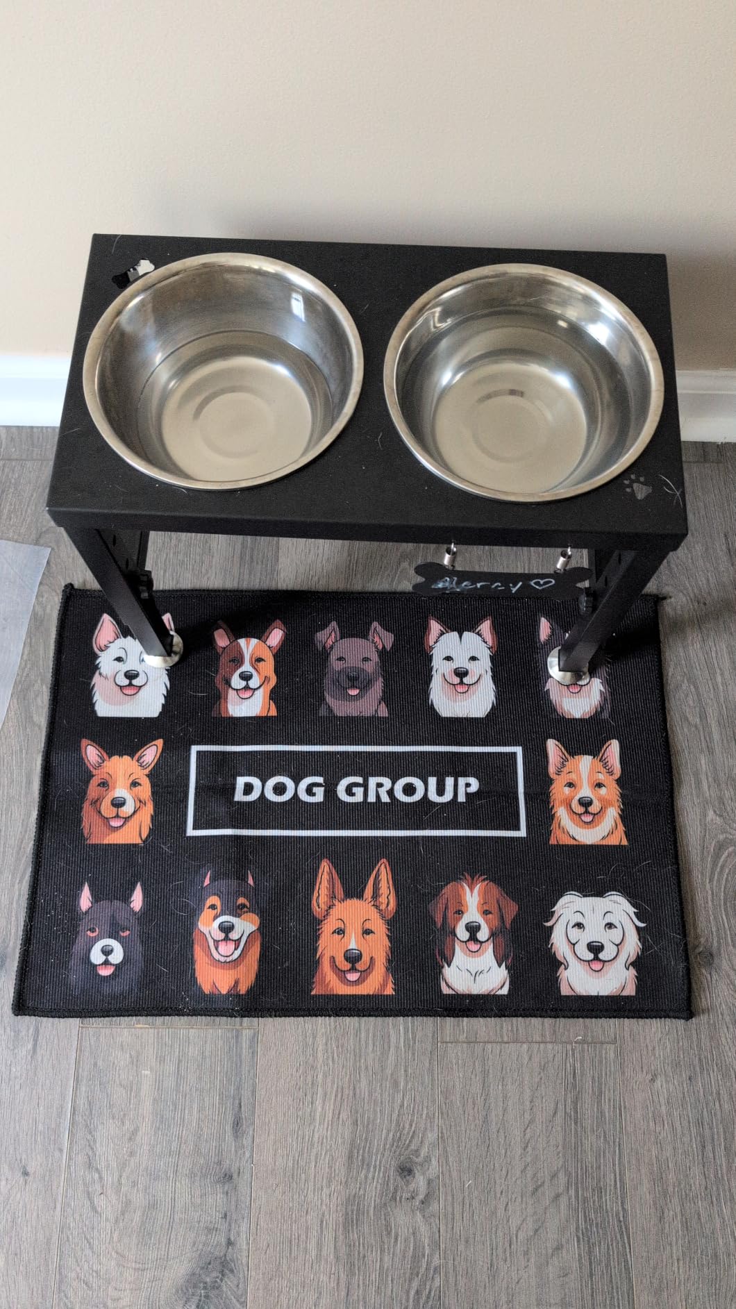SHAINFUN Elevated Dog Bowls with Slow Feeder & Mat for Medium and Large Dogs, 12
