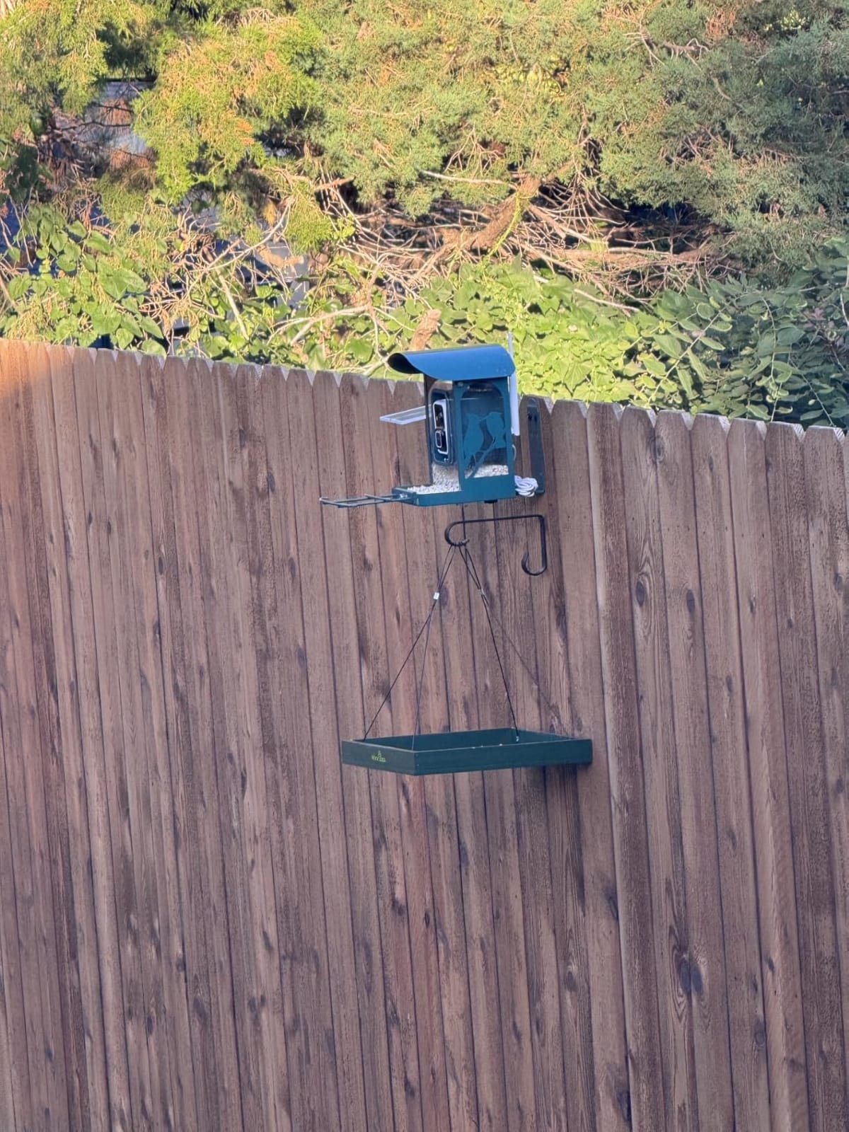 Bird Feeder with Camera, 4K Ultra HD Video with 30fps Live View, 10x Slow Motion, No Subscription, Solar Powered AI Smart Bird Feeder with Camera, 2.4G/5G Wi-Fi, Durable Metal, Bird Lover Gift customer photo 2