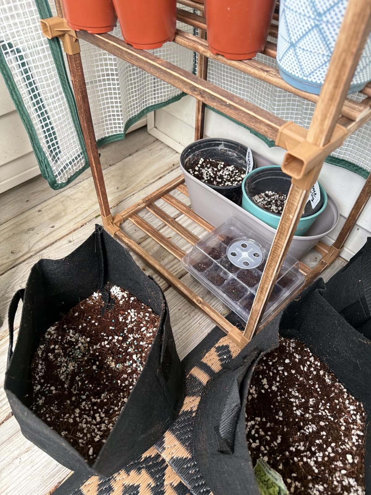 Bamworld Greenhouse for Outdoors Small Plant Green House 3-Tier Portable Plant Stand with Durable PE Cover for Seedling Ideal Gardening Gifts for Women Plants Lover customer photo 1