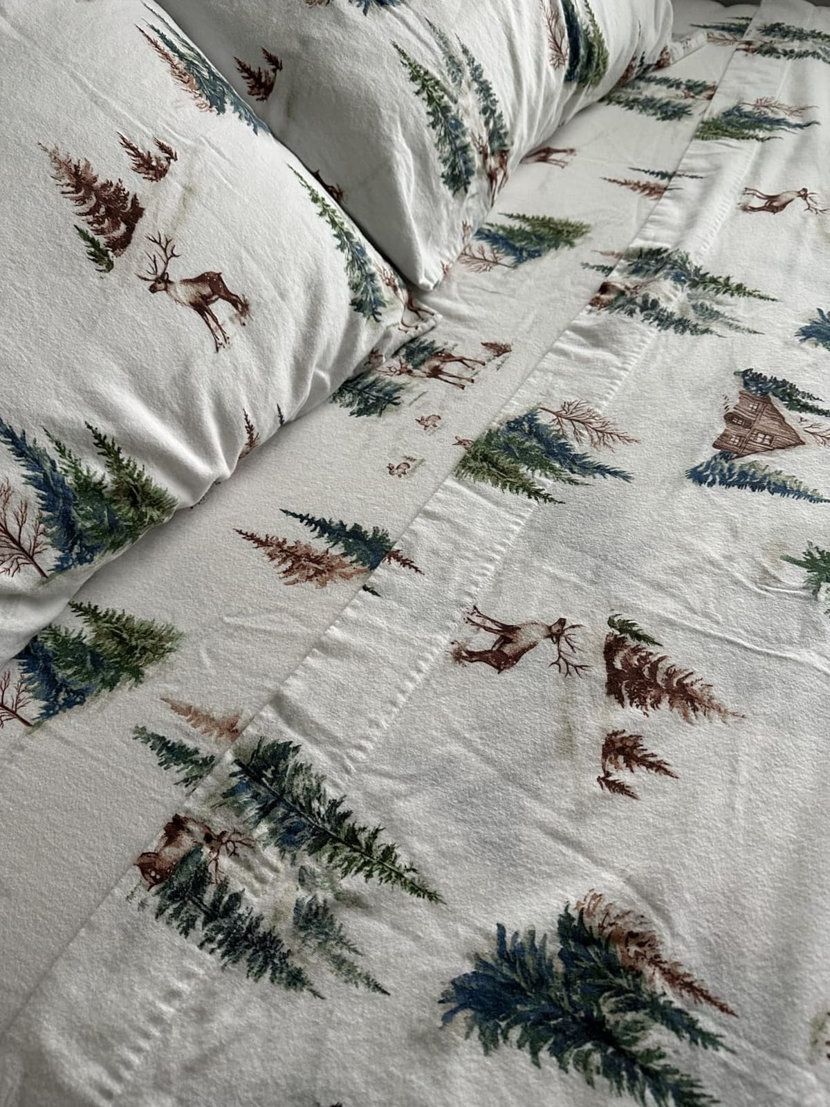 Luxury Portuguese Flannel Sheets | 100% Cotton | Queen Size Flannel | Grey | Ultra-Soft, Warm & Breathable Sheet Set | Deep Pocket, Durable & Cozy Winter Sheet Set | 100% Portuguese Cotton customer photo 1