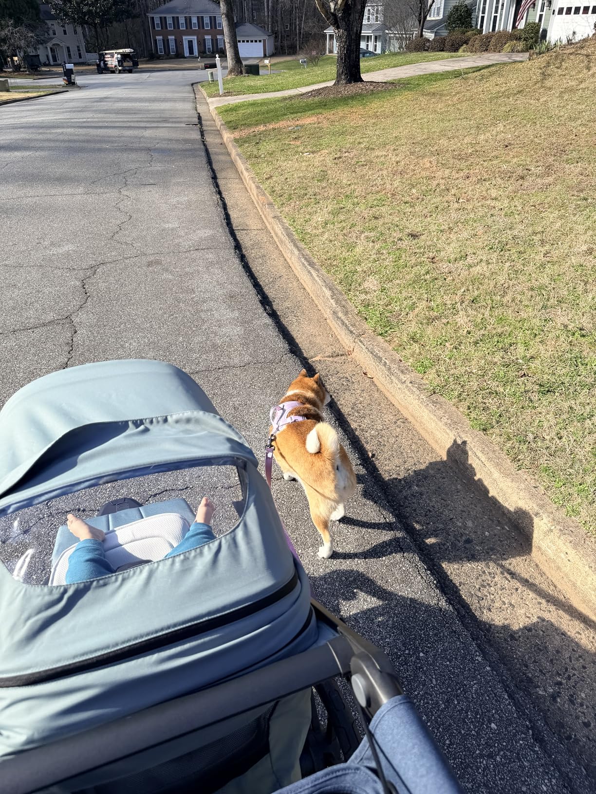 Thule Urban Glide 3 Single Child All-Terrain Stroller, Lightweight, Air-Filled Tires & Suspension, Integrated Hand Brake | jogging-strollers customer photo 2