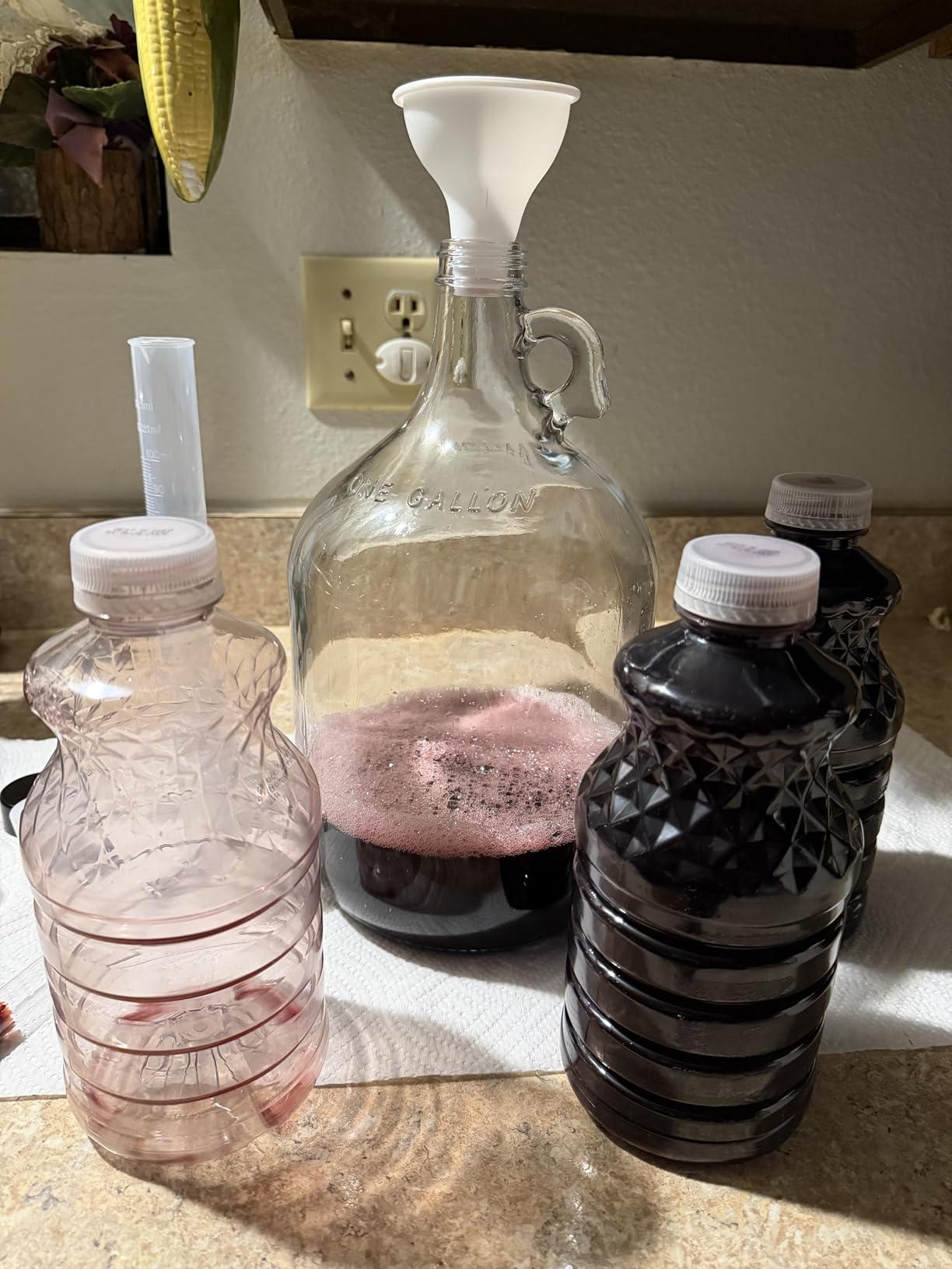 Wine Making Kit Home Brewing - Complete Grape Juice Brew Starter Set for Beginners, 1 Gallon Glass Fermentation Jar with 4 Bottles, Yeast & Nutrients, Siphon, Airlock and Step-By-Step Guide customer photo 2