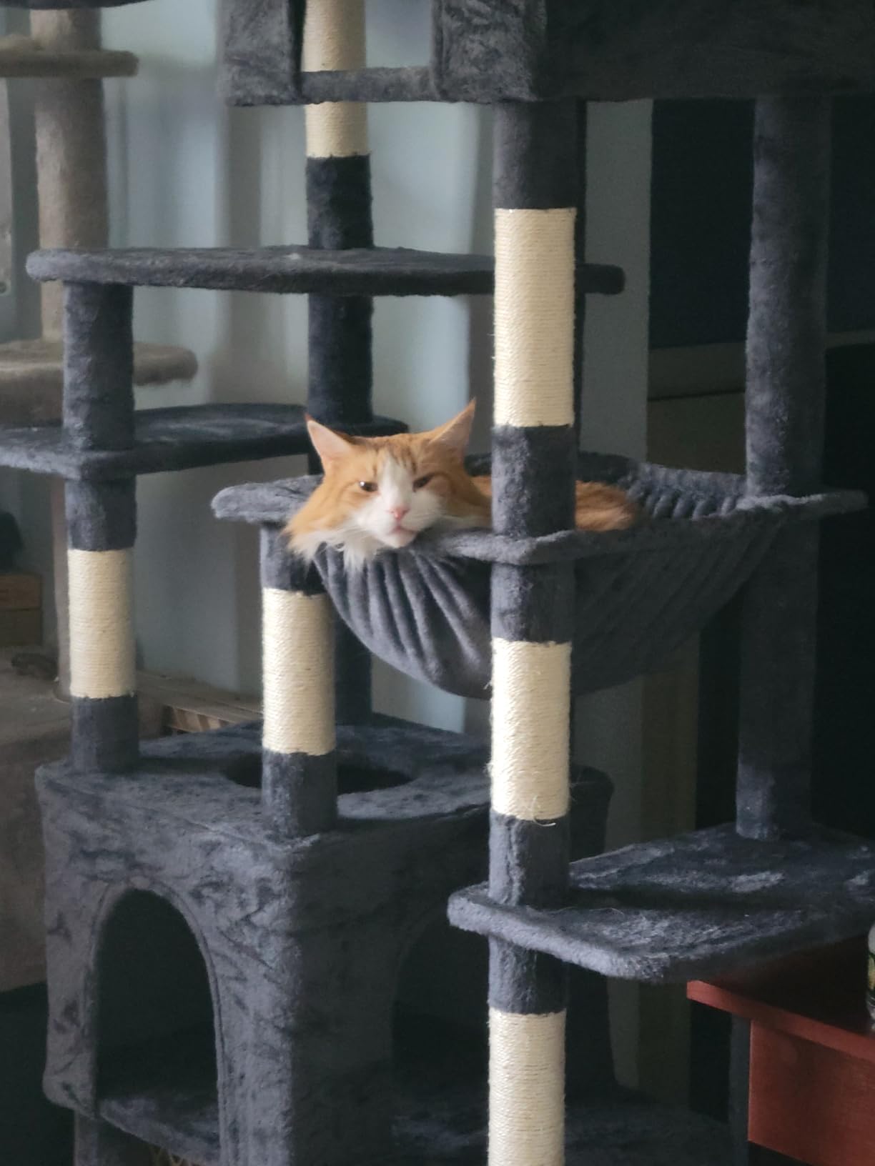Heybly Cat Tree, 76-Inch Tall Heavy Duty Cat Tower for Big Cats HCT039G | Multi-Level Large Cat Furniture with Extra Wide Baseboard, 2 Condos & 2 Hammocks, 10 Scratching Posts, Smoky Gray customer photo 2