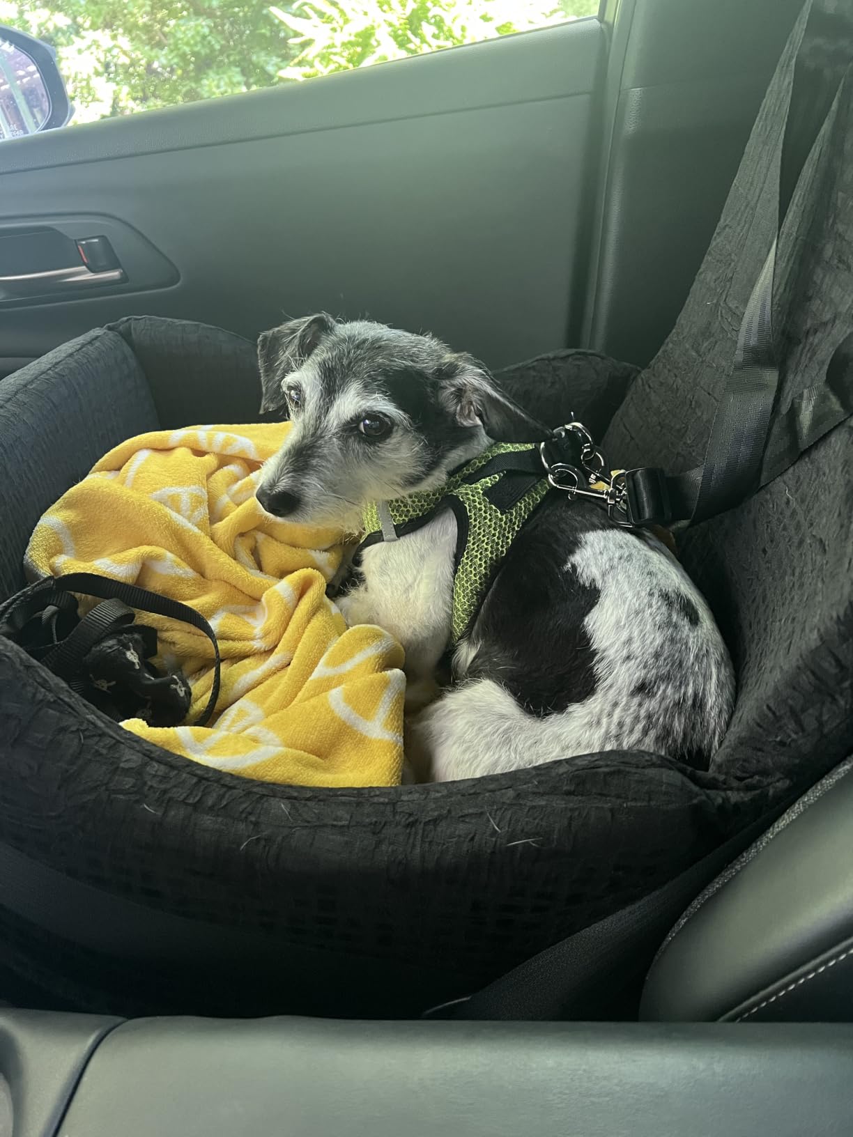 PETSFIT Dog Car Seat with Patented Safety System, 5