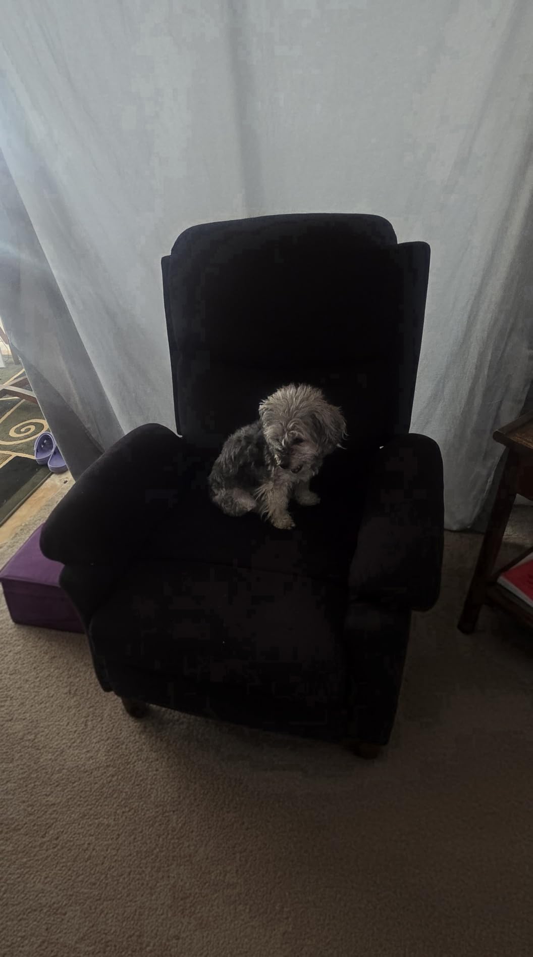 Korser Recliner Chair, Manual Recliner for Adults with Side Pocket, Small Recliners for Small Spaces, Adjustable Comfy Overstuffed Corduroy Reclining Chairs for Living Room, Reading, Bedroom, Grey customer photo 1