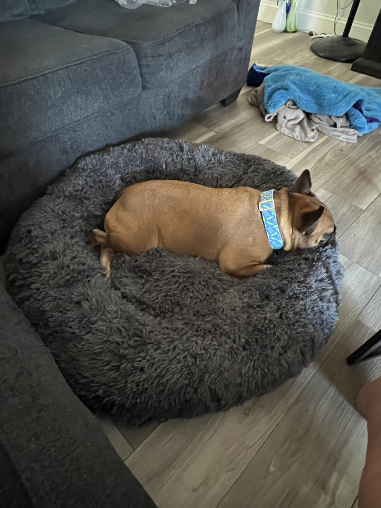 Bedsure SupportMax Calming Dog Beds Large Sized Dog Washable Pet Bed, 36in Dark Grey - 420GSM Plush Fluffy Donut Round, Thick Supportive, Removable Cover, Anti-Slip, Anti-Anxiety, for Big Dogs Up to 80 Lbs customer photo 1