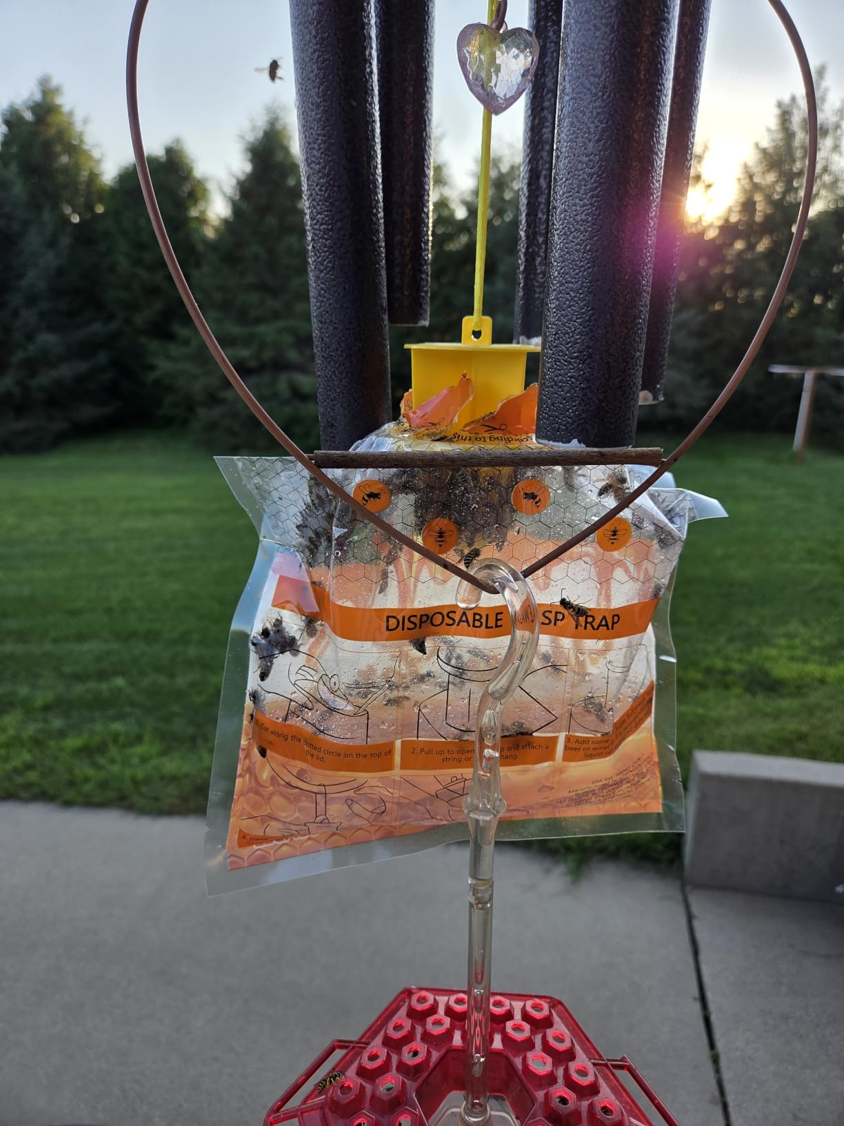Disposable Wasp Traps Outdoor Hanging 4 Pack | Yellow Jacket Trap, Carpenter Bee Traps for Outside, Wasp & Hornet Traps Catcher Killer for Outdoor Patio Garden customer photo 2
