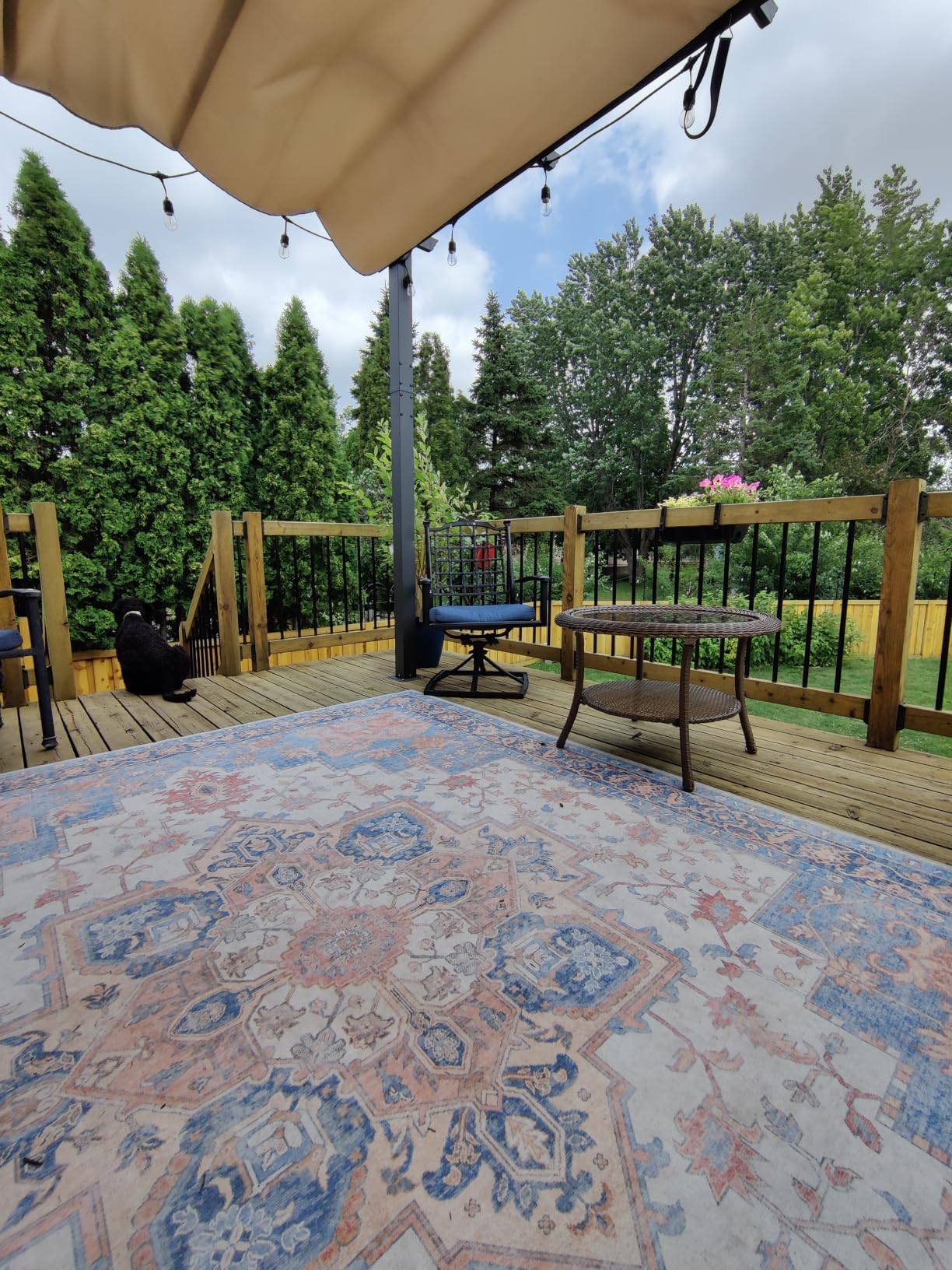 GENIMO Outdoor & Indoor Area Rug 5'x8', Waterproof, Non-Shedding, Easy Cleaning, Boho Mat for Patio, Living Room, Balcony, Dining Room, RV, Deck, Bedroom, Camping, Outside Carpet, Blue customer photo 1