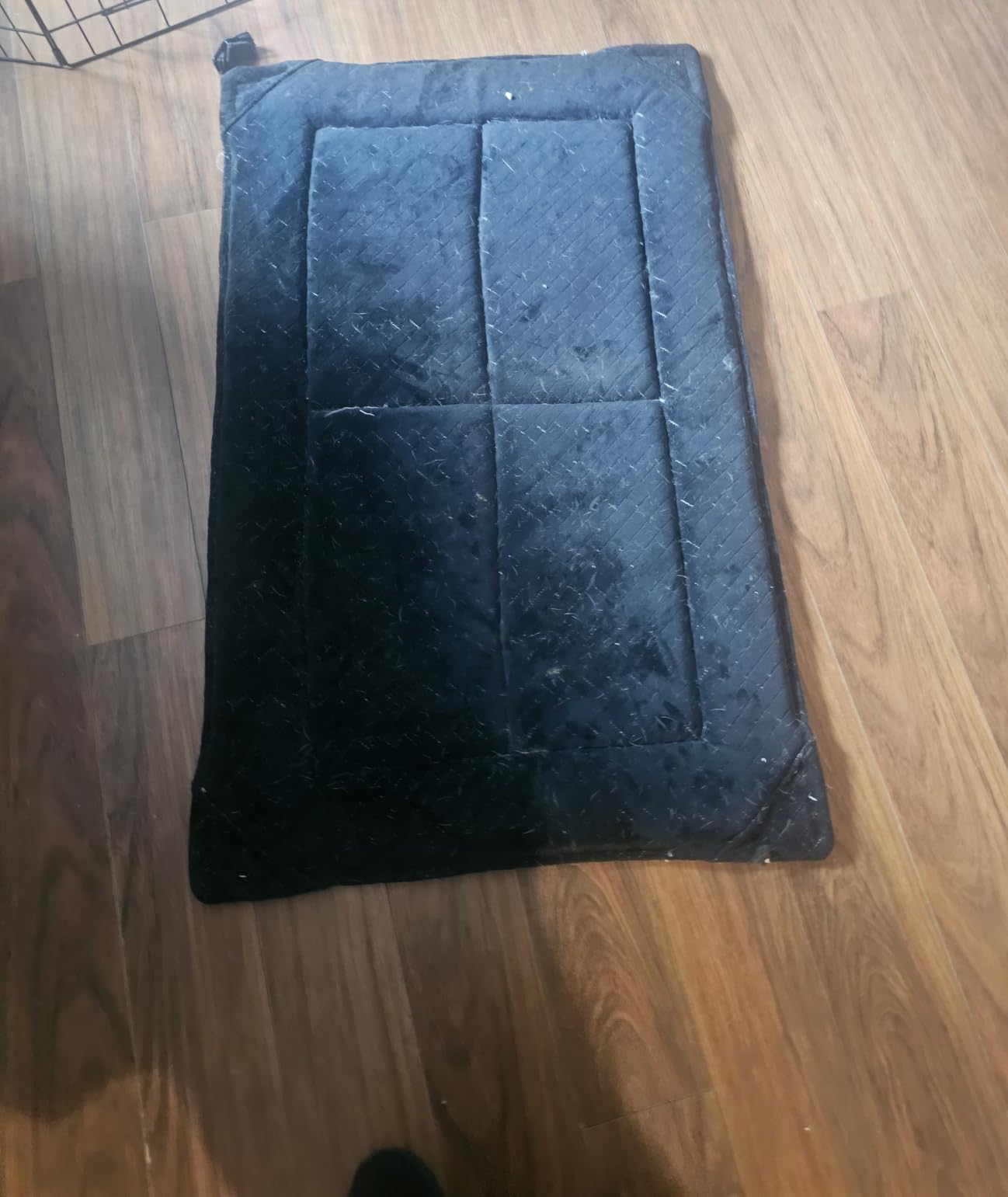 Bedsure Chew Proof Dog Bed for Large Dogs, 35x22 Inch, Black | Chew Resistant Dog Crate Pad Durable Pet Kennel Mat, Reinforced Corners, Machine Washable customer photo 1