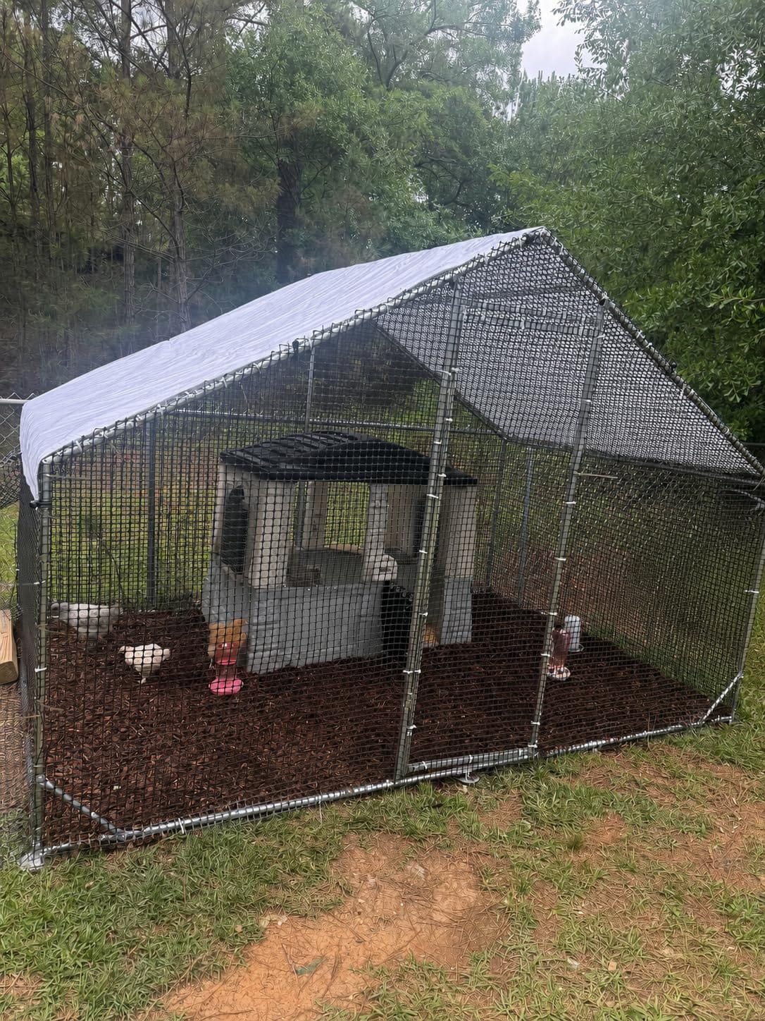 CAMMOO Metal Chicken Coop, 13.1x9.8x6.6ft Chicken Run for Yard with Cover | Upgrade Double Lock & Mesh, Stainless Steel Ties, Easy Assembly, Chicken Pen for Ducks, Rabbits customer photo 1