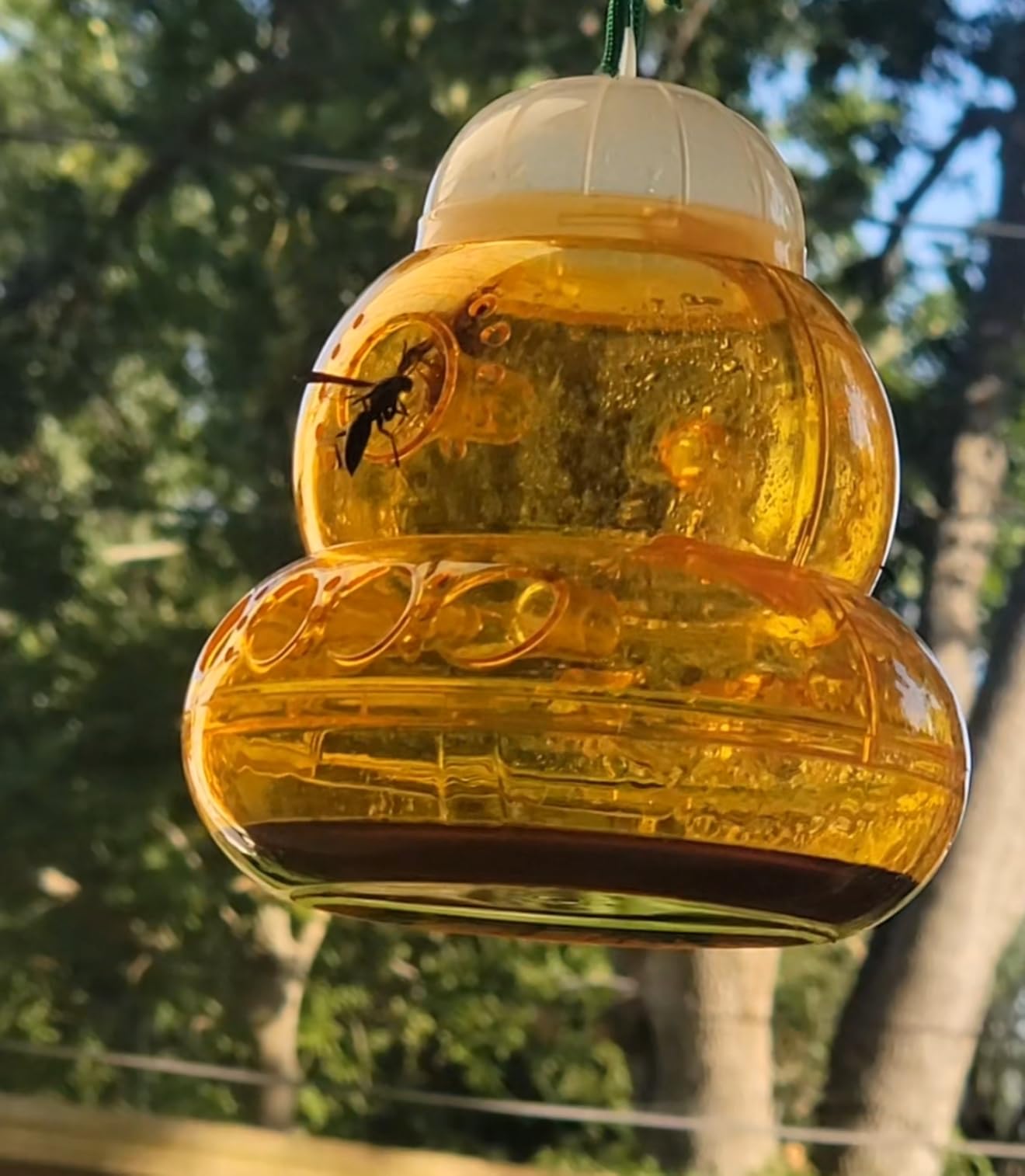 2 Pack Wasp Traps Outdoor Hanging | Carpenter Bee Traps for Outside Yellow Jacket Trap Wasp Killers Bee Catcher Hornet Trap for Outdoor Farm Garden (Orange) customer photo 2