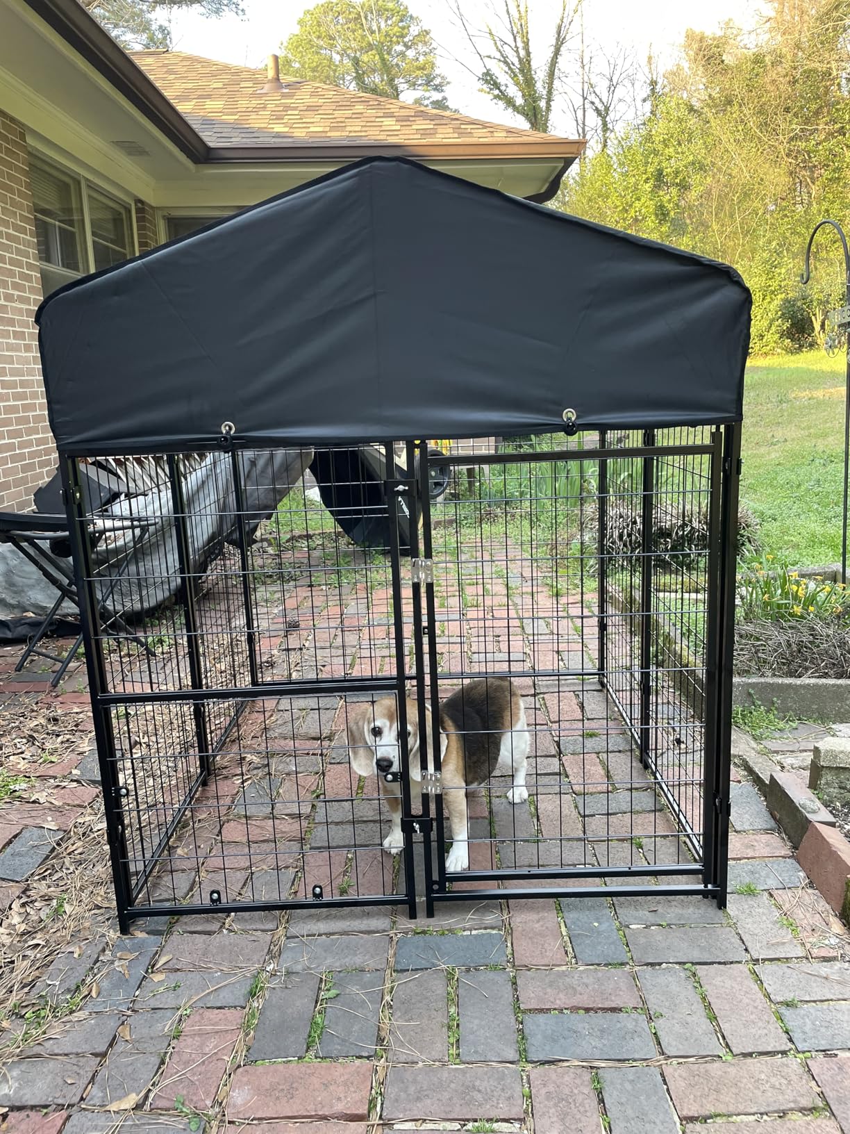 Dog Kennel Outdoor, Weatherproof Outside Dog Kennel with Roof & Swivel Feeders and Removable Dog Door, Heavy Duty Outdoor Kennels Dog Enclosure Run for Medium Large Dogs (8'L x 4'W x 6'H) customer photo 1