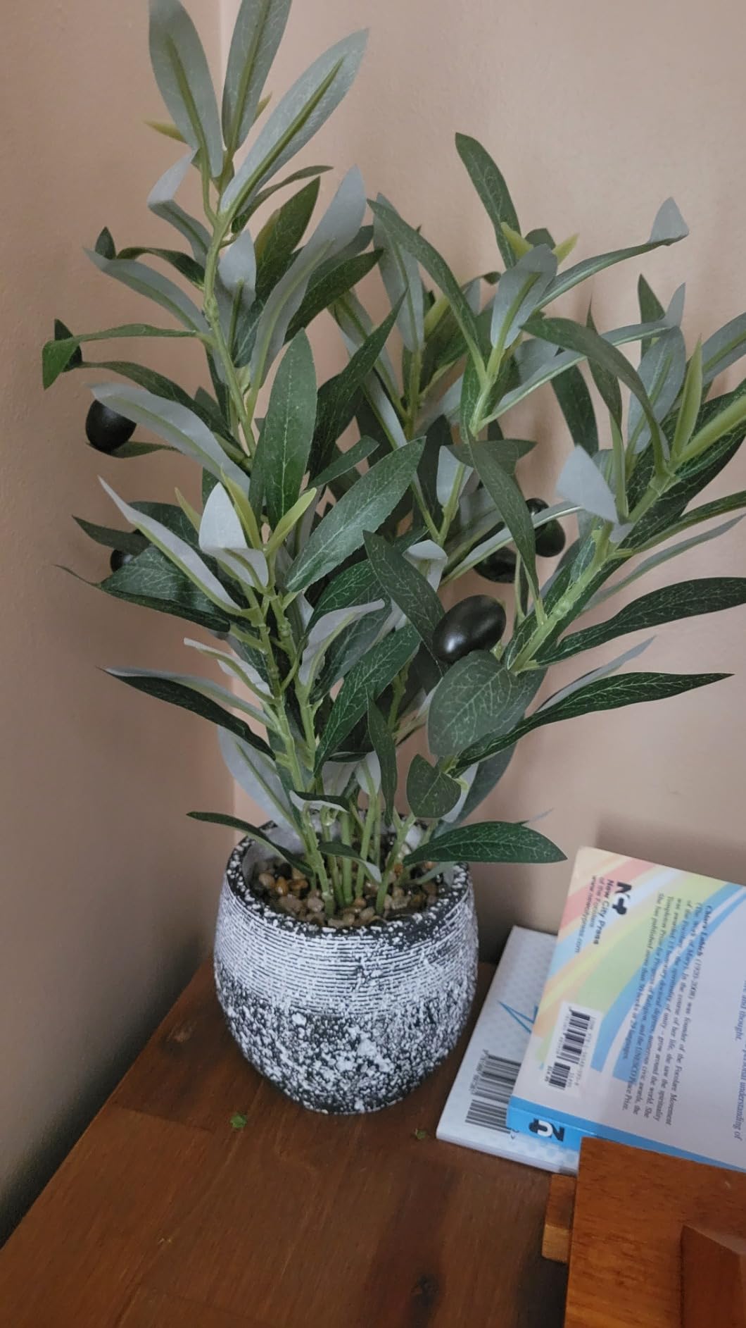 Artificial Peperomia Plants 16