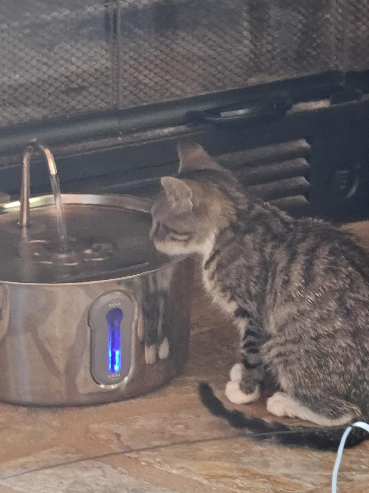 4L/135oz Large Cat Water Fountain Advanced 304 Stainless Steel with Detachable Tank, Easy to Clean, Automatic Pet Fountain Quiet Cats Water Dispenser, Dogs (135oz Large Cat Fountain) customer photo 2
