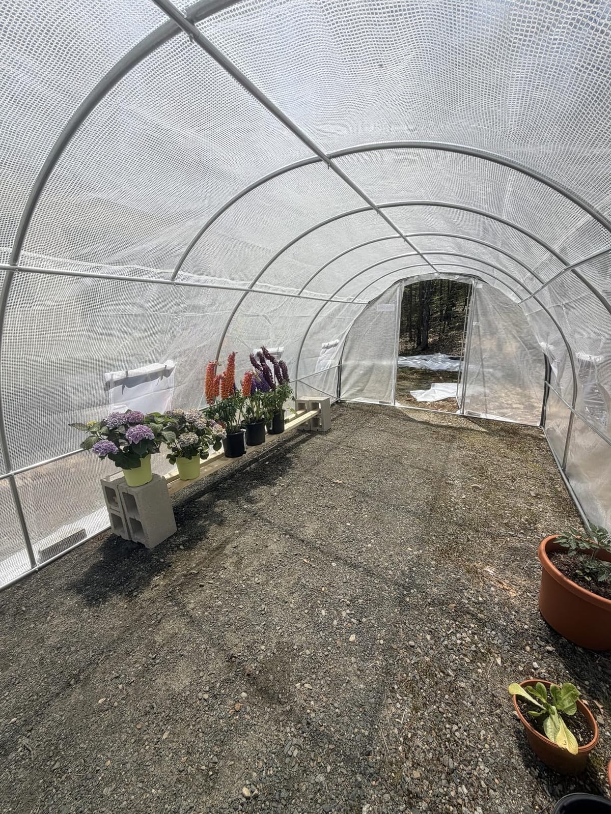 Quictent 25x10x6.6 FT Premium Greenhouse for Outdoors with 2 Door Frames | Reinforced Top Structure & Cover, Large Heavy Duty Walk-in Tunnel Hoop Green House for Garden Backyard Flower Winter, White customer photo 2