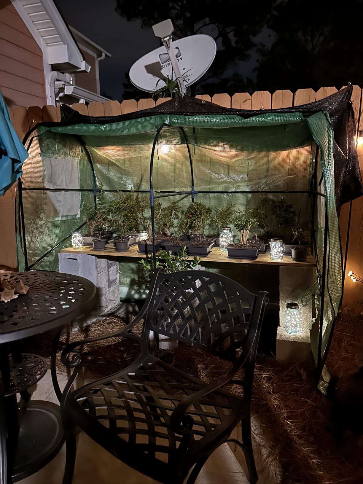 KING BIRD Premium Greenhouse for Outdoors, 84x56x77 Upgraded PVC Cover | Heavy Duty Steel Frame Walk-in Portable Green House for Outside Garden, Screen Windows & Mesh Door, 3 Tiers 14 Shelves, White customer photo 1