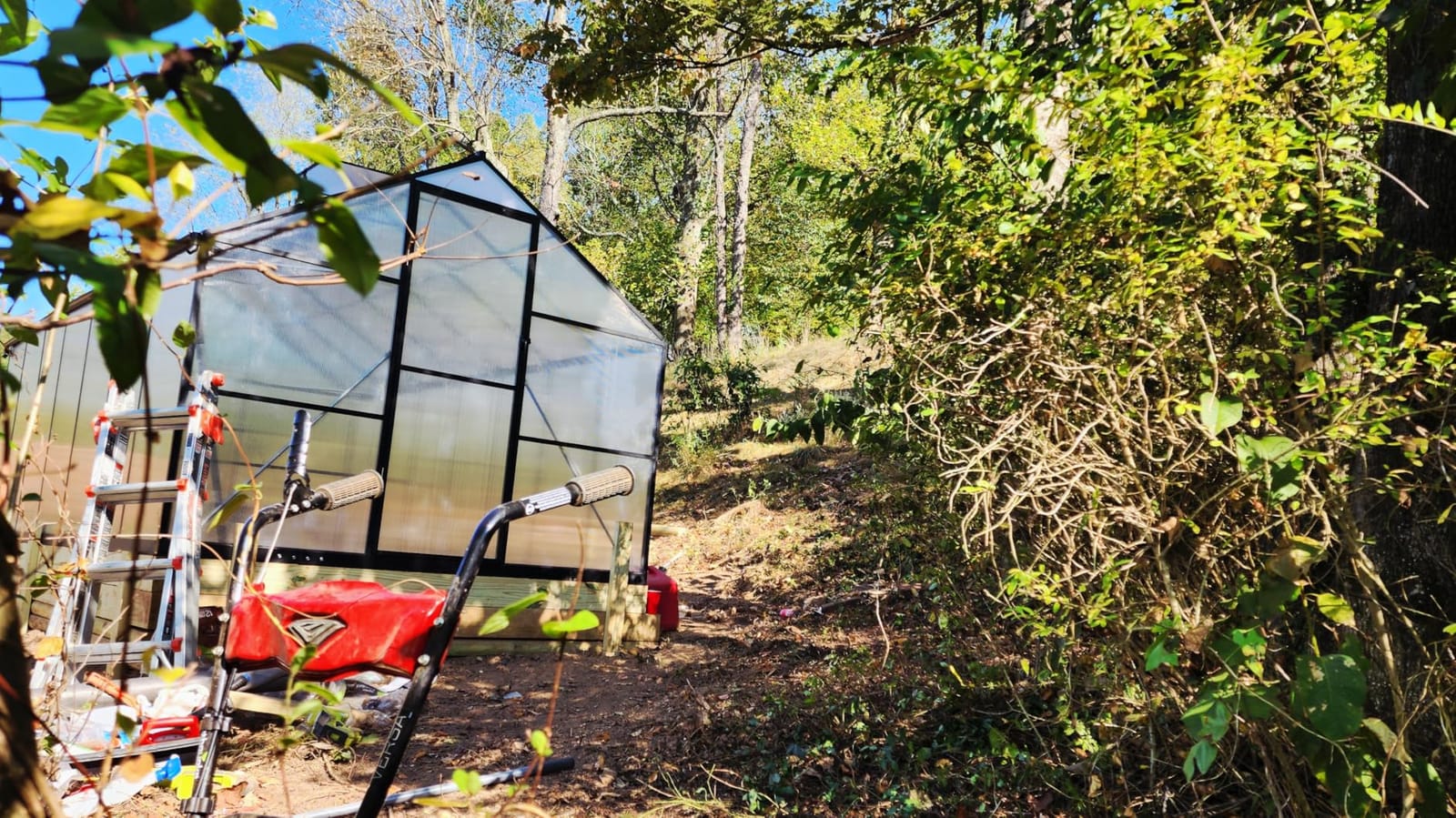 6x10FT Greenhouse with Hygrometer, Windproof Warm Plant Green Houses | Polycarbonate Green House with UV Protection, Heavy Duty Greenhouse with Aluminum Frame, Roof Vent & Quick-Install Design customer photo 1