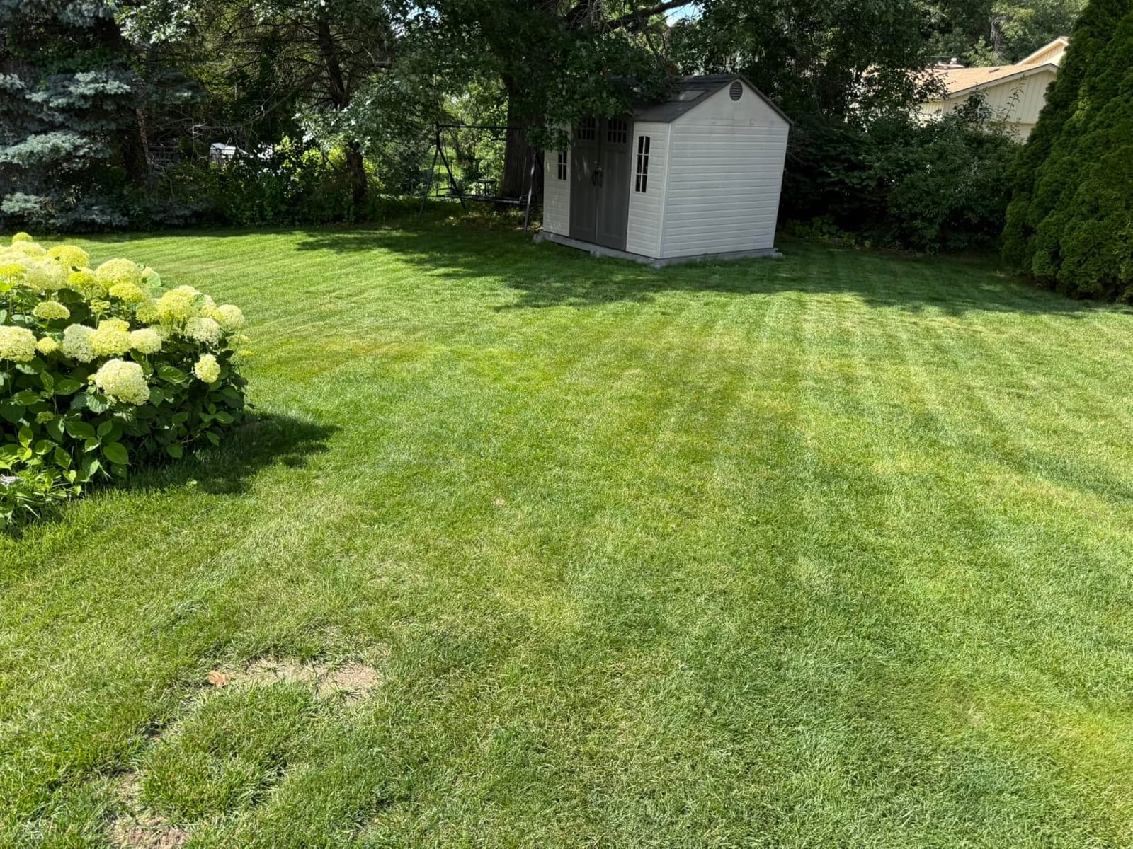 ECOVACS Goat A2000 LiDAR PRO Robotic Lawn Mower for Up to 1/2 Acre, Wire-Free with Dual-LiDAR Auto Mapping, Built-in TruEdge Edge Trimmer, AIVI 3D Obstacle Avoidance, Smart App Control customer photo 2