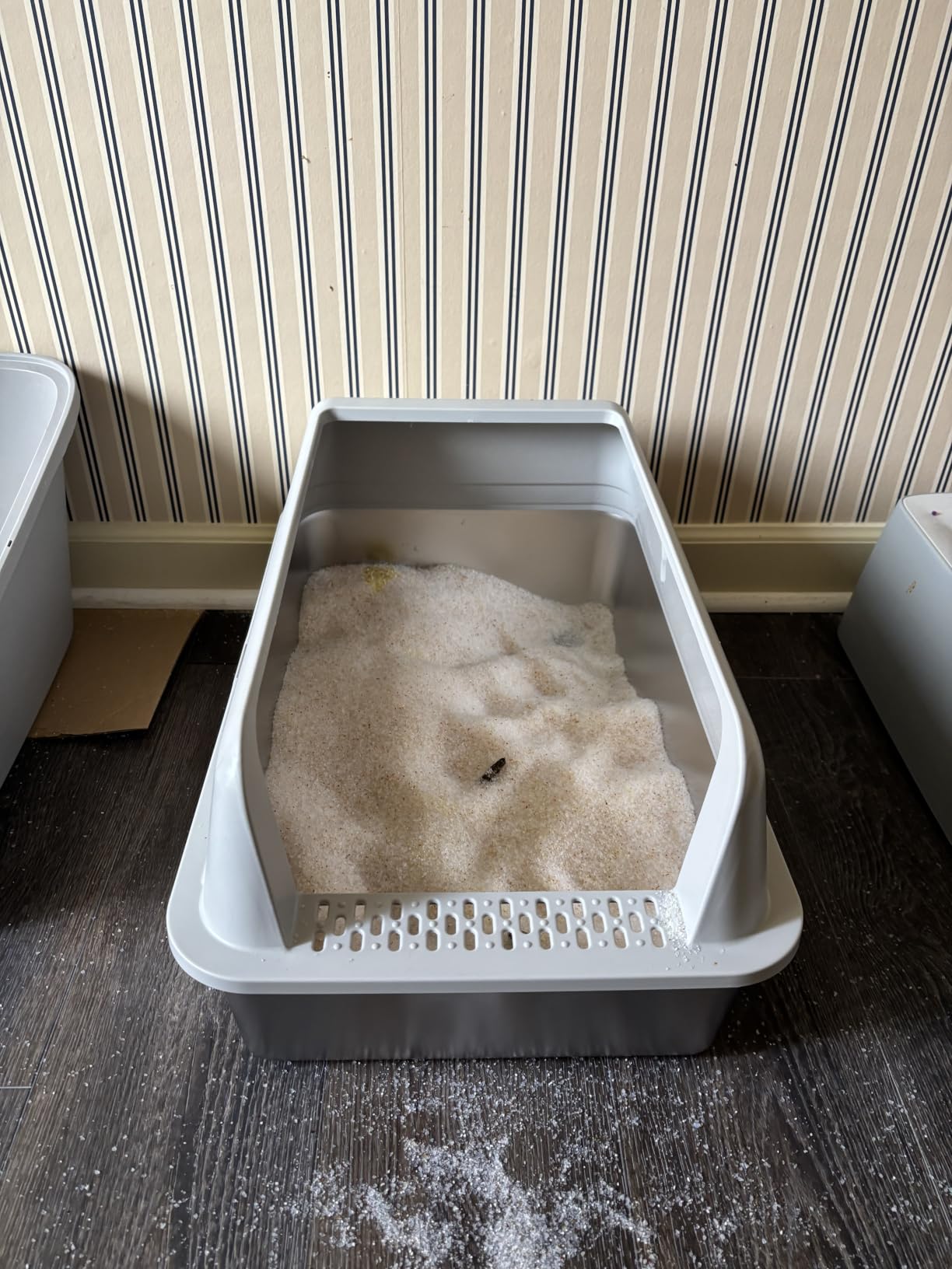 High-Sided Stainless Steel XL Cat Litter Box for Cats | High-Sided Design Prevents Urine Leakage, Non-Stick, Easy to Clean, Includes Scoop, Gray customer photo 1