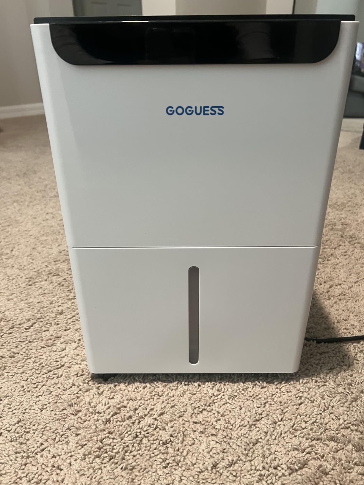 1600 Sq.Ft Compressor Dehumidifier for Basement, Max 21 Pint/Day | Dehumidifier with Drain Hose for Home RV Garage Large Room, Timer Humidity Control customer photo 1