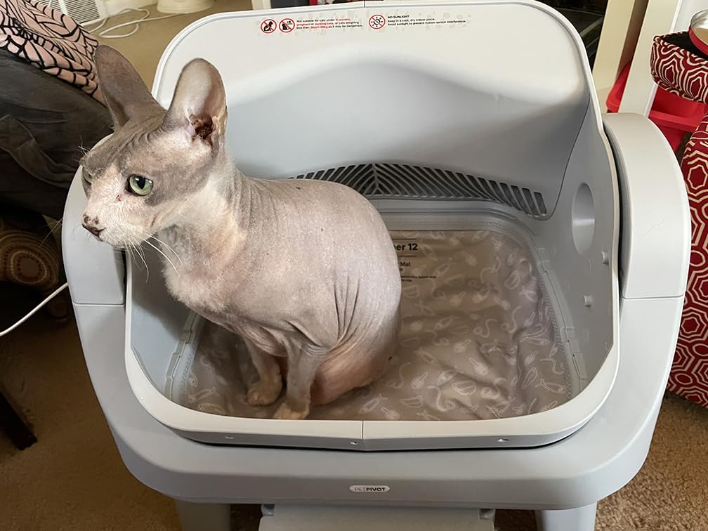 PetPivot Open Top Self Cleaning Cat Litter Box, Automatic Litter Box with 7 Pairs of Safety Sensors, Anti-Pinch Protection and Easy Access Step for Senior Cats, Dark Grey customer photo 1