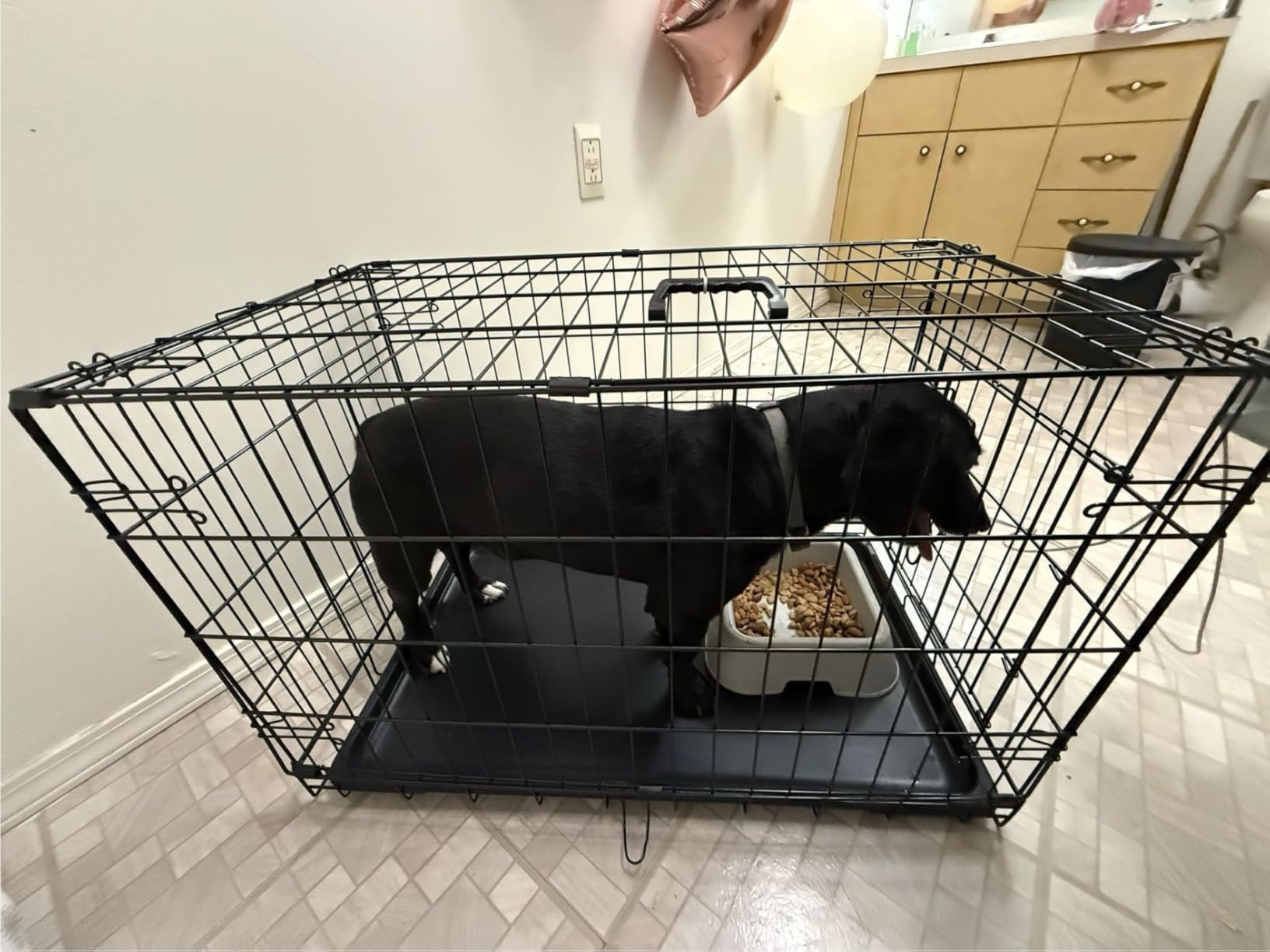 DUMOS Dog Crate, 24 Inch Small Single Door Dog Cage with Plastic Leak-Proof Pan Tray, Folding Metal Wire Pet Kennel for Indoor, Outdoor, Travel, Black customer photo 2