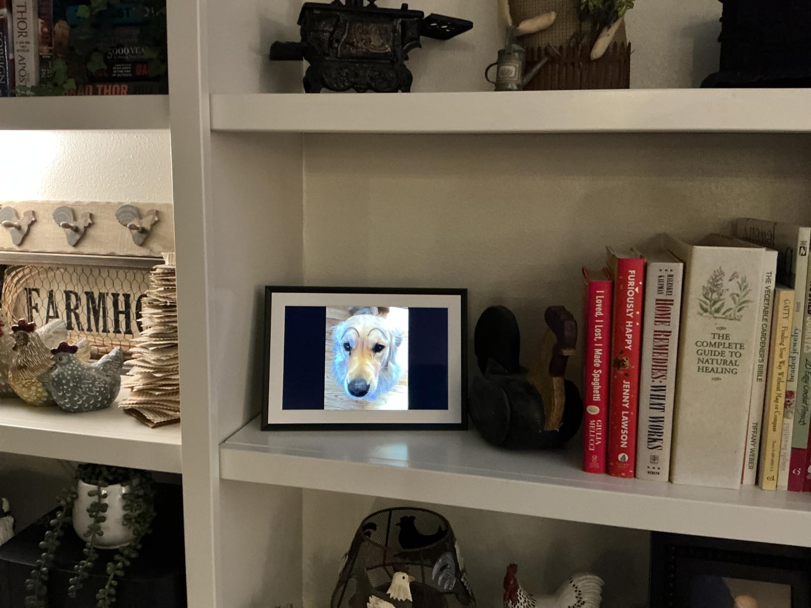 Aura HD Digital Picture Frame | Carver: The Best Frame for Gifting customer photo 2