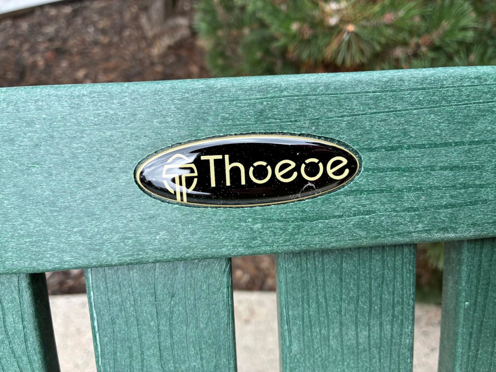 THOEOE Outdoor Chaise Lounge Chair, HDPE Pool Lounge Chair, Wood | Oversized patio lounge chairs for outside with wheels & cup holder, 5 adjustable position for, pool, deck customer photo 2