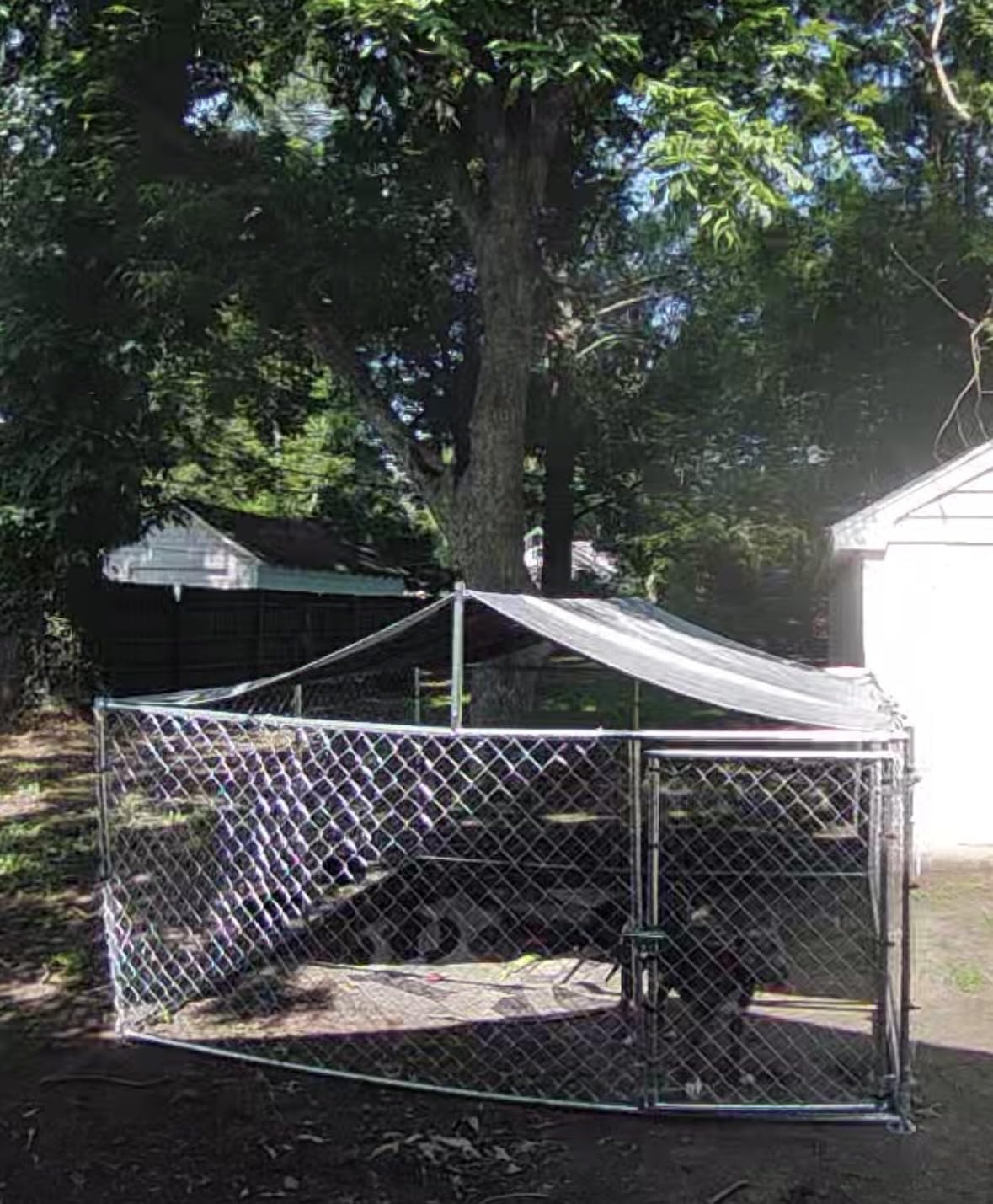 YITAHOME 10'x10' Outdoor Dog Enclosure with Metal Dog Gate | Dog Kennel Outside with Roof, Dog Fence Outdoor for Yard customer photo 2