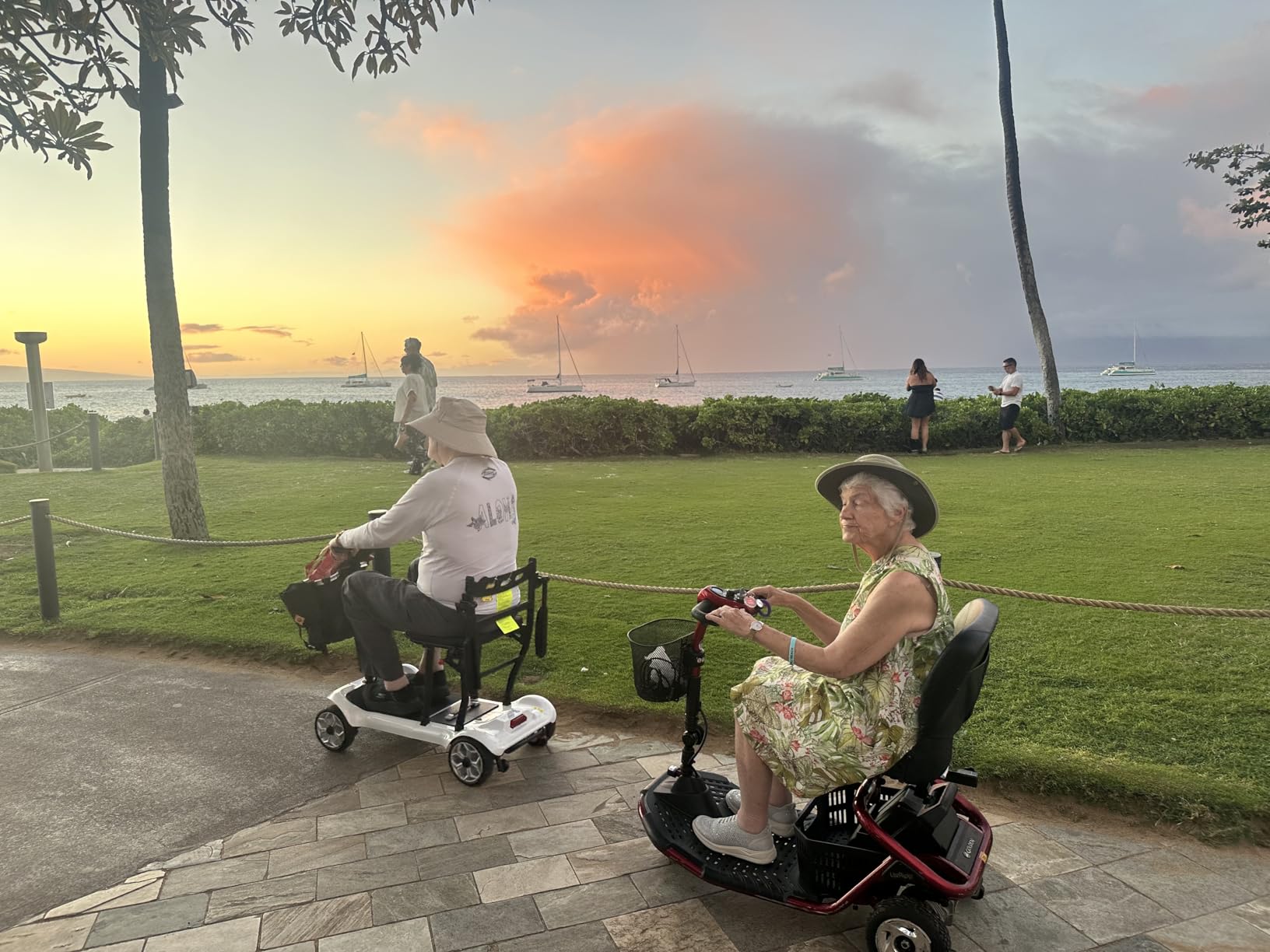 [2026 Upgraded] PAISEEC D3 Pro Ultra Lightweight Mobility Scooter, 2 Batt | 19Miles, 270W Motor All-Terrain, Fits Car Trunk, USB Port, Airline Approved for Travel, Shopping, Daily Use customer photo 2