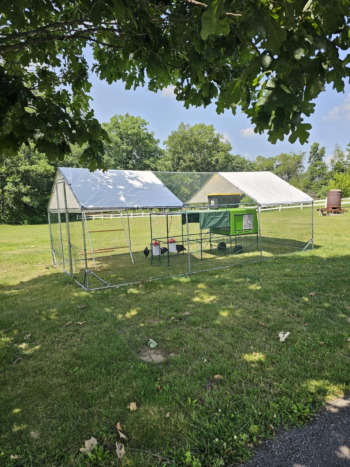 Quictent Large Metal Chicken Coop Run for 30+ Poultry w/Beige Nest Box | Side Hardware Cloth & Cover, Advanced Series Outdoor Walk-in Cage Hen Duck Rabbit Dog Pen Yard Farm House, 18x9x6.6FT customer photo 1