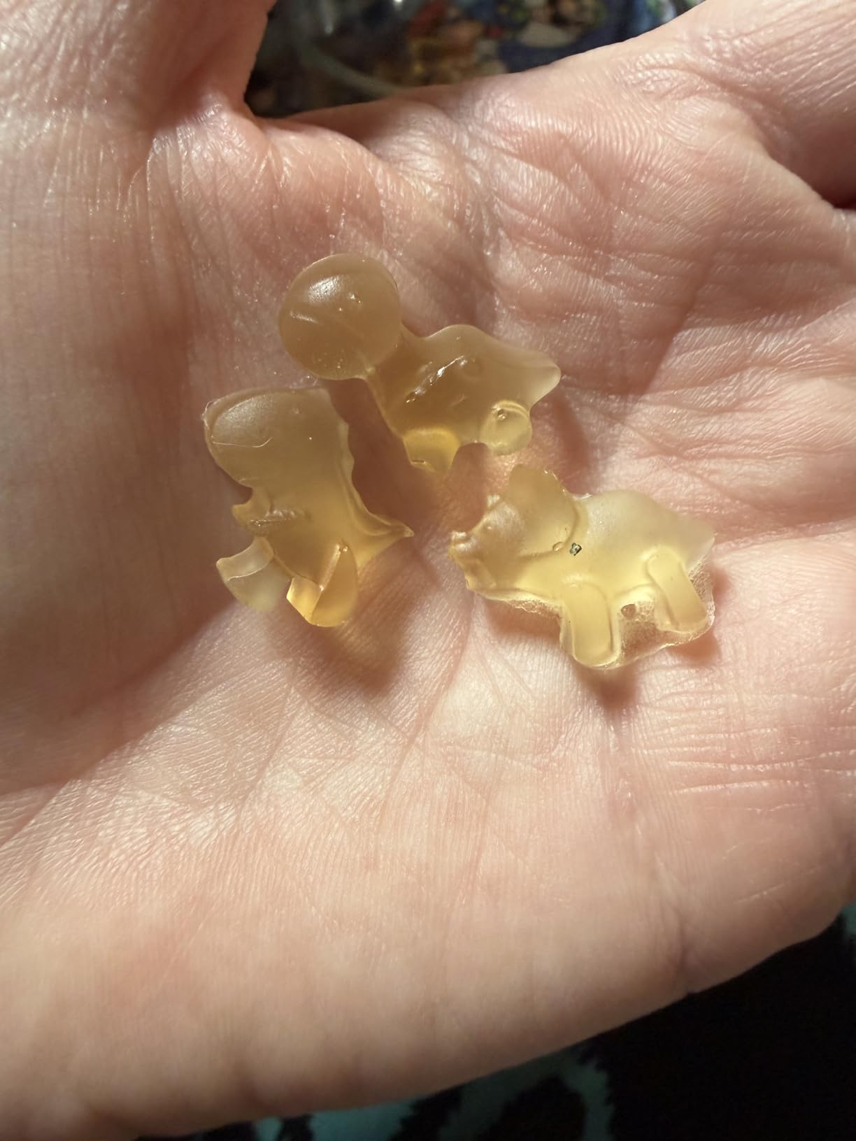 Gummy Candy Molds with 2pcs Droppers, Silicone Chocolate Molds 3 Pack | Non-stick, BPA Free, Bear Dinosaur Fruit Shape, Easy Release & Clean, Food-Grade Silicone, Gummy Bear Mold, Fruit Snack Molds customer photo 2