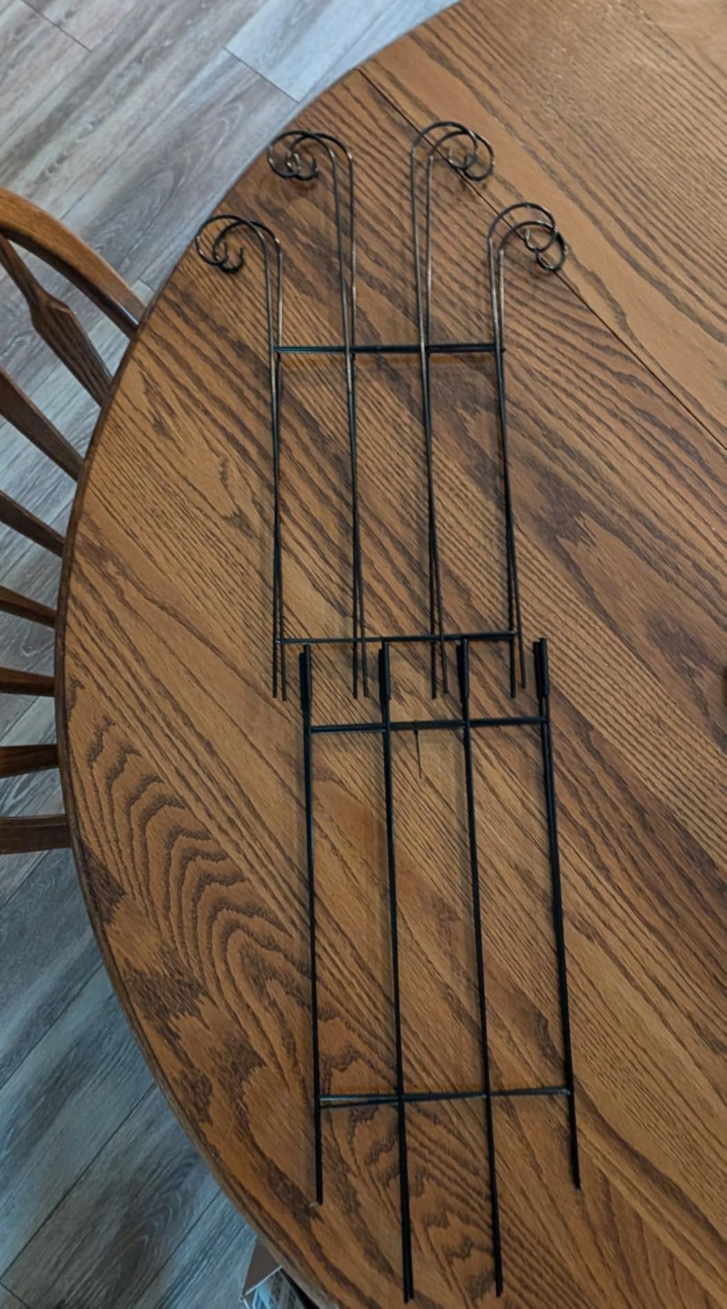 32.6 Inch 2Pack Garden Trellis for Climbing Plants, Black | Rustproof Sturdy Metal Plant Trellis, for Potted Plants, Climbing Vines, Flowers, Vegetables, Indoor Outdoor Plants customer photo 1