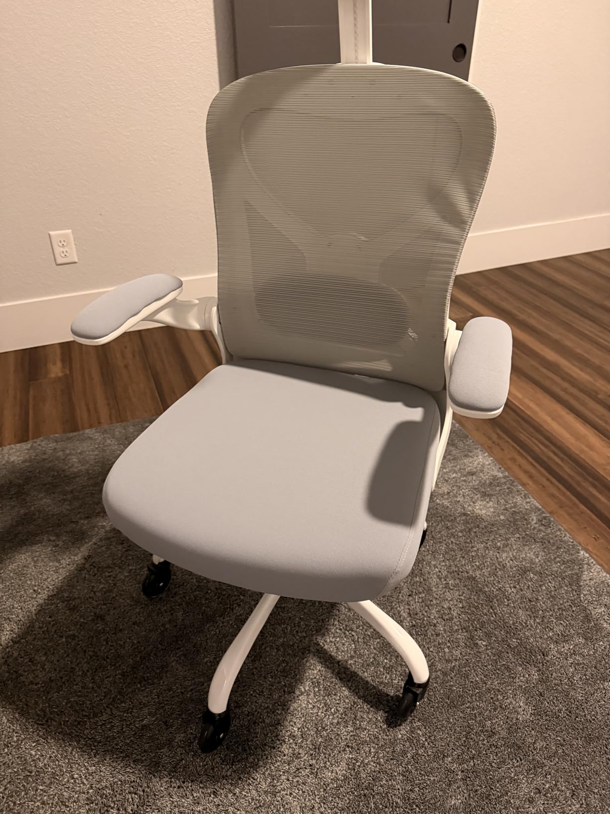 Ergonomic Office Chair for Long Hours - Back & Neck Pain Relief, Virgin Foam Seat, 3D Adjustable Headrest, 2D Lumbar, Flip-Up Arms, Gray/Silver customer photo 1