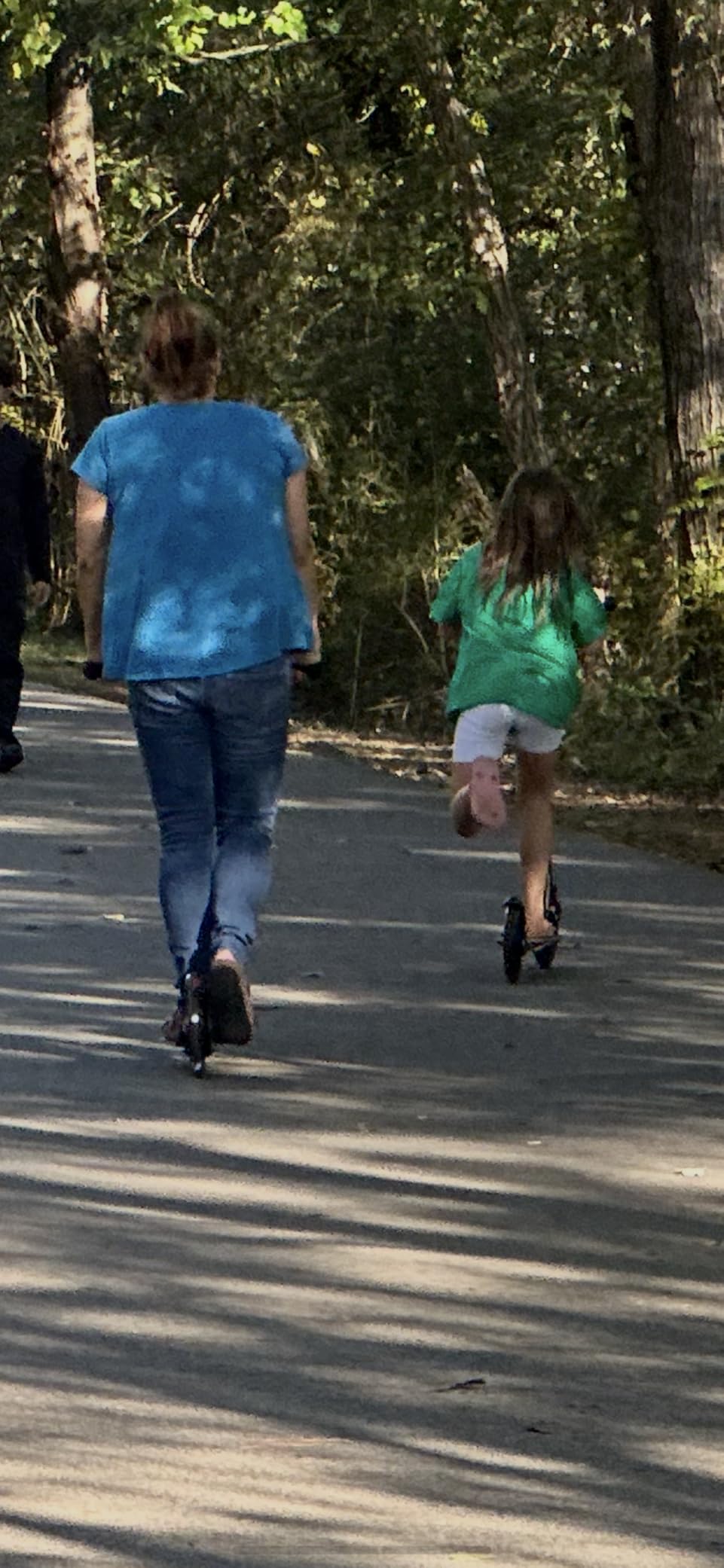 Micro Kickboard Suspension Scooter for Teens & Adults - Riders up to 250 lbs, Swiss Design customer photo 1